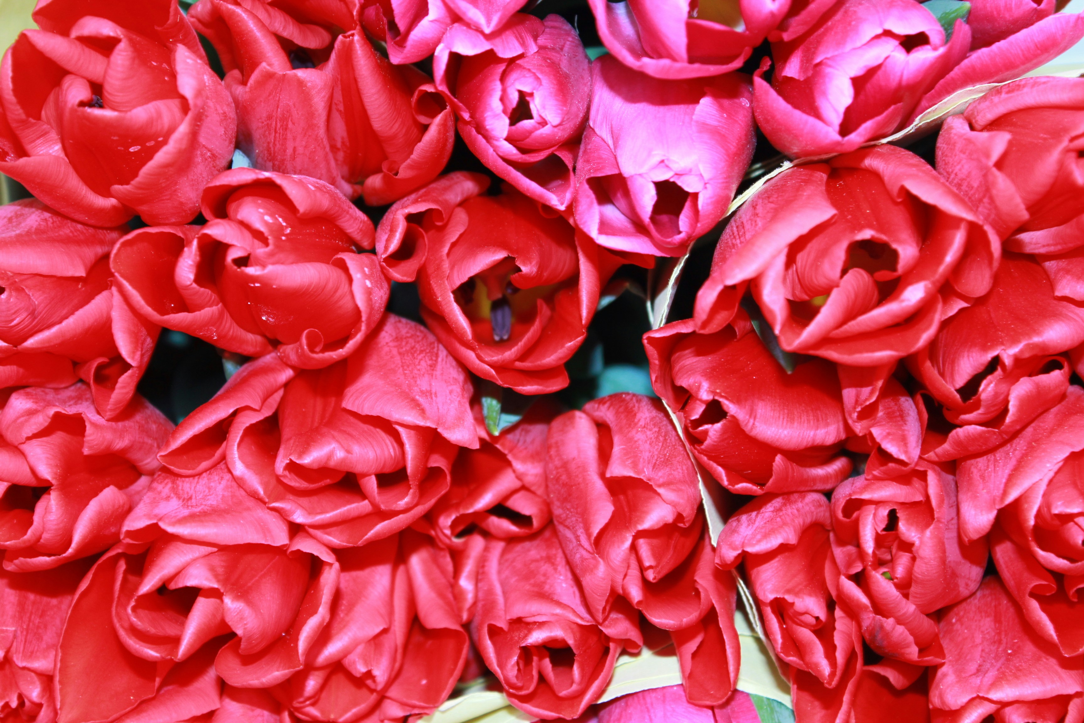 Photo by dareartworks