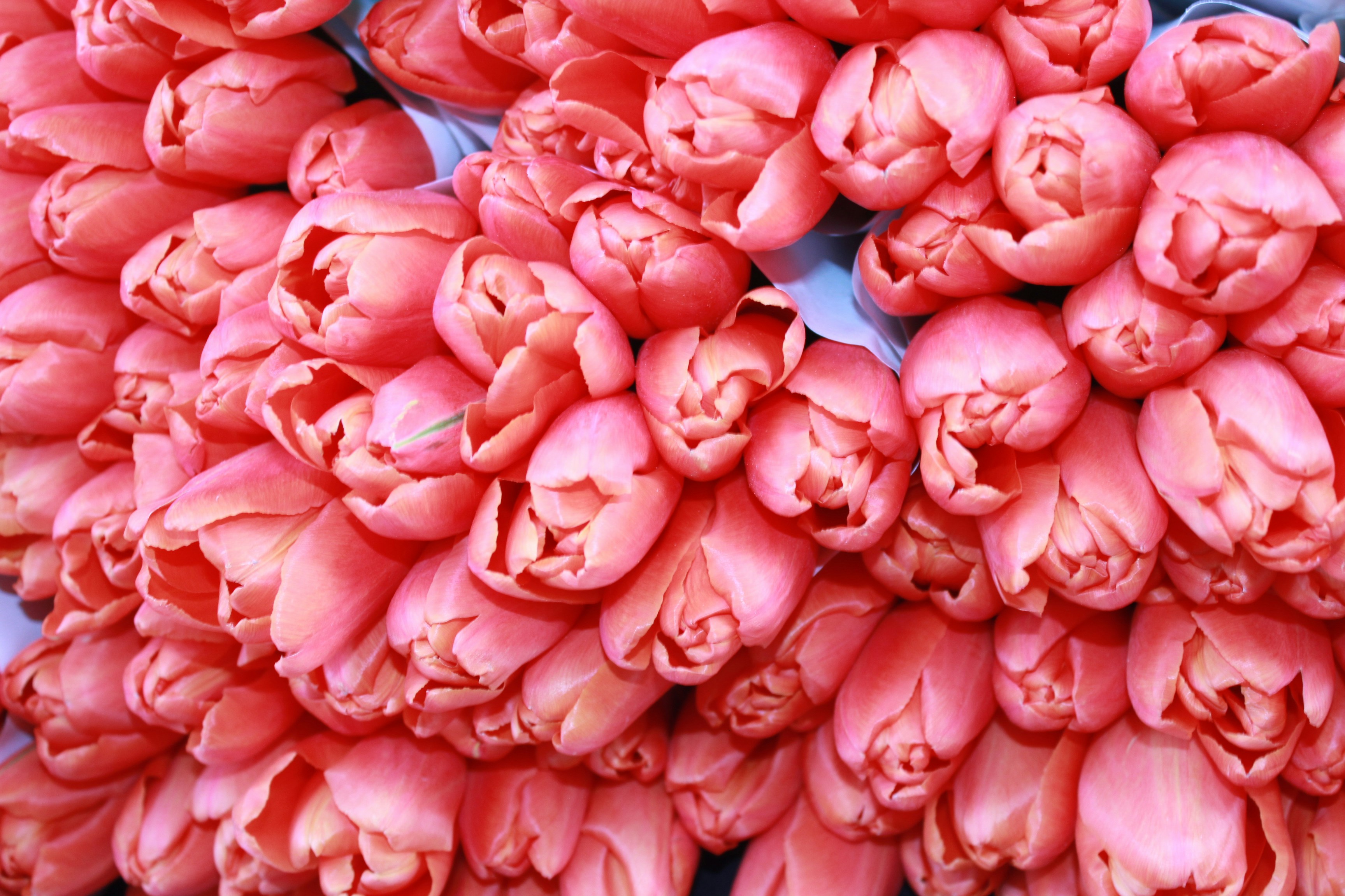 Ideias de Encontro - Formas Criativas e Românticas de Passar Tempo Juntos