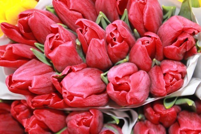 Картинка за статичен екран