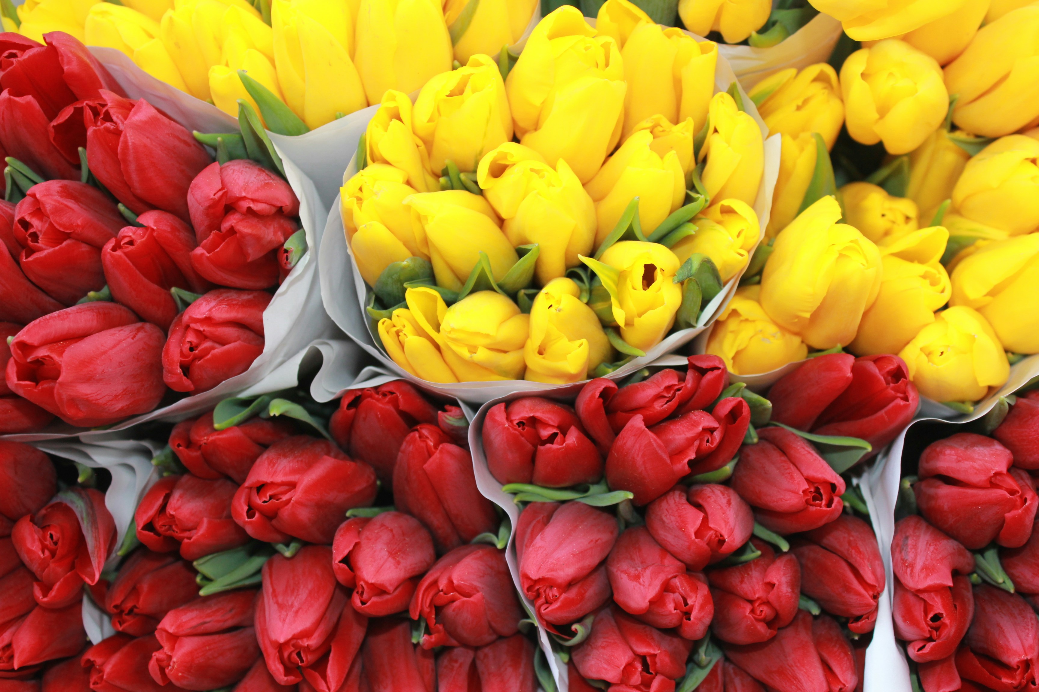 Photo by dareartworks