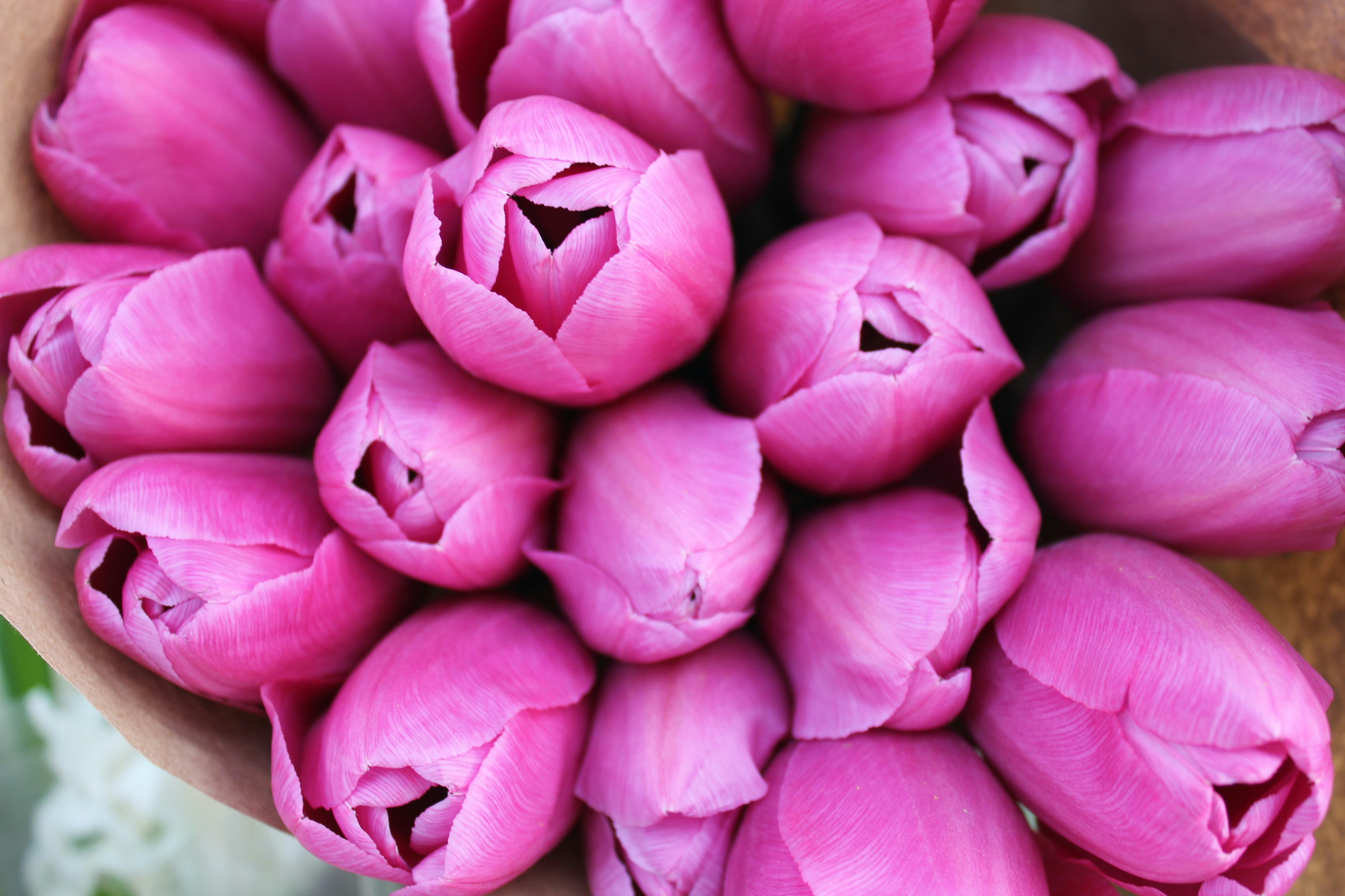 Photo by dareartworks