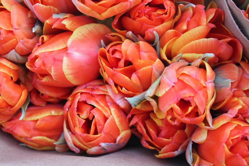 Vibrant flowers creating upscale romantic atmosphere