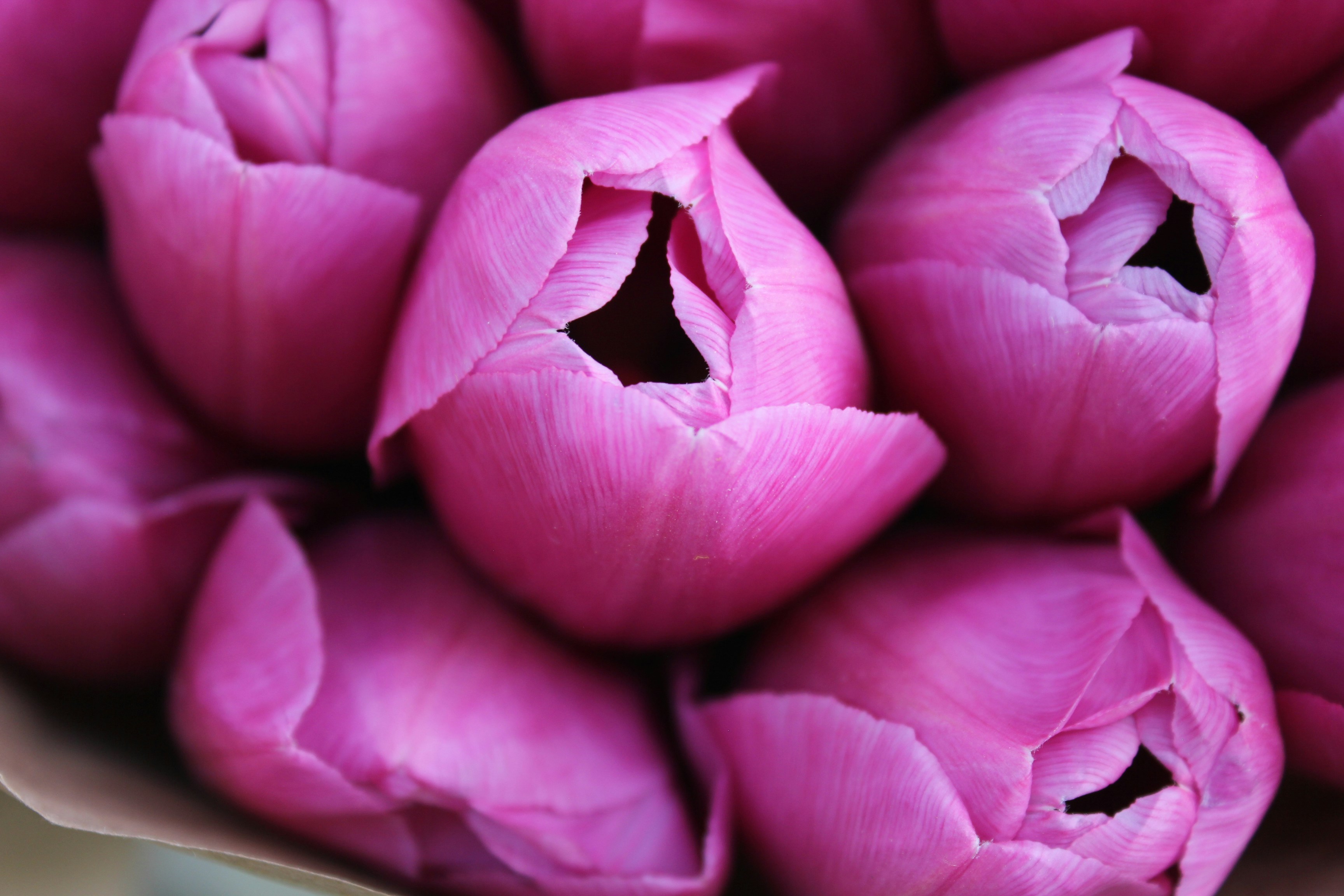 Photo by dareartworks