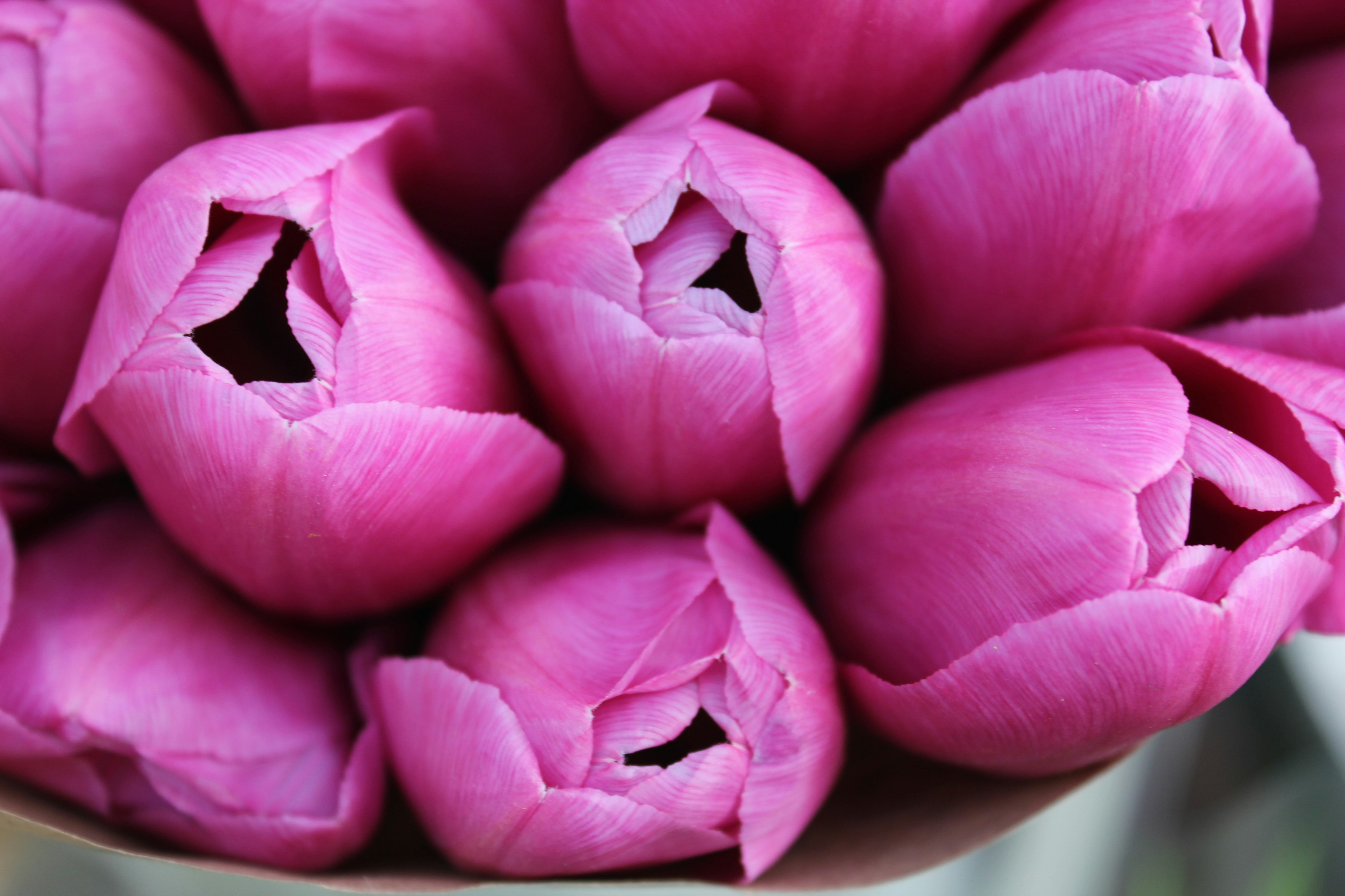 Photo by dareartworks