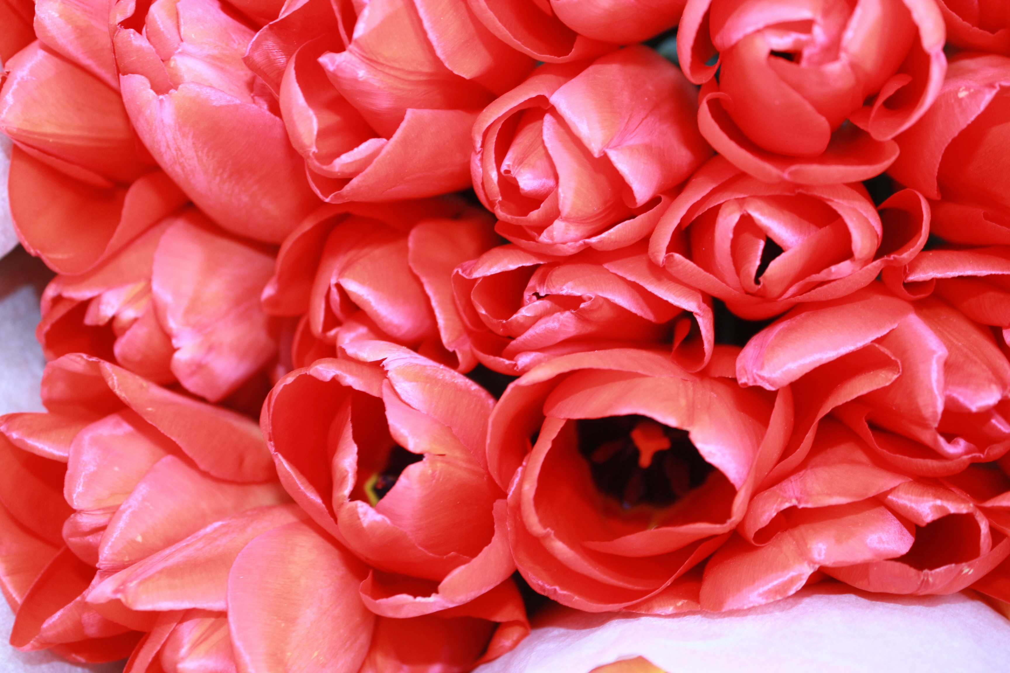 Photo by dareartworks