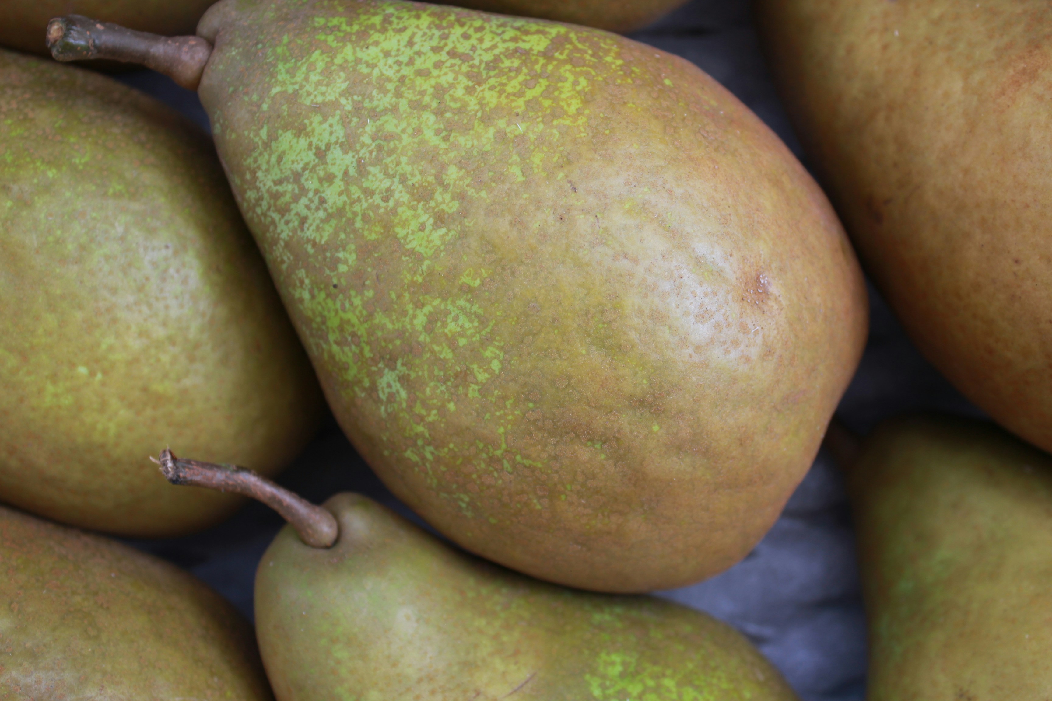 From Field to Fork: Understanding the Impact of Corn Exports on Local Diets