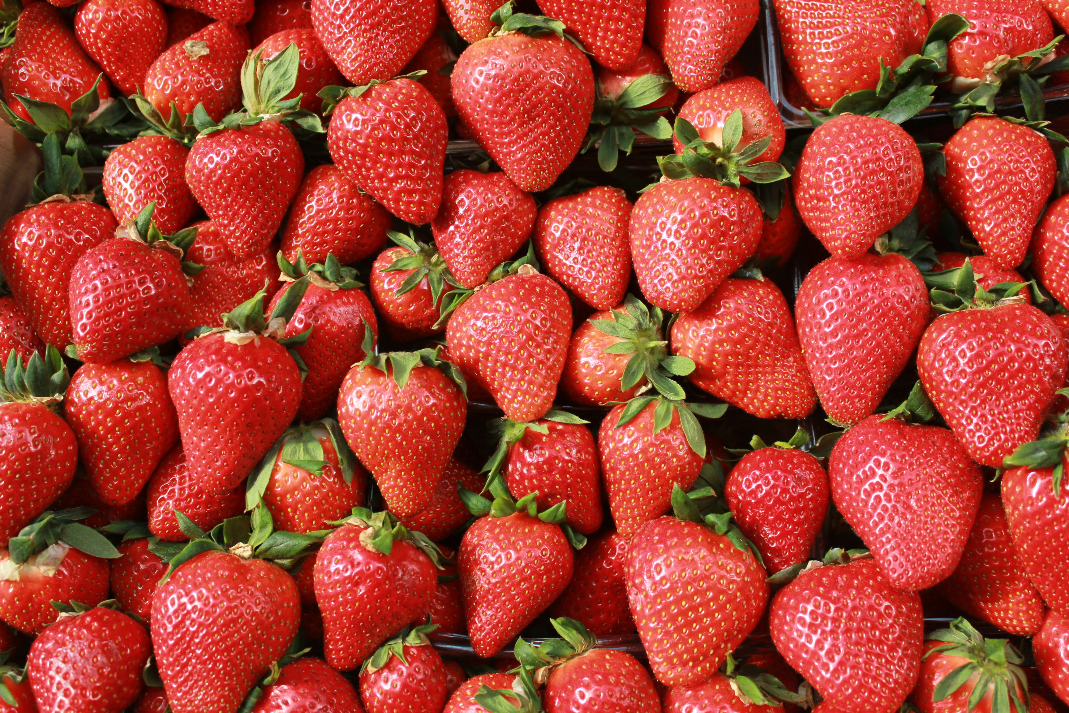 Photo by dareartworks