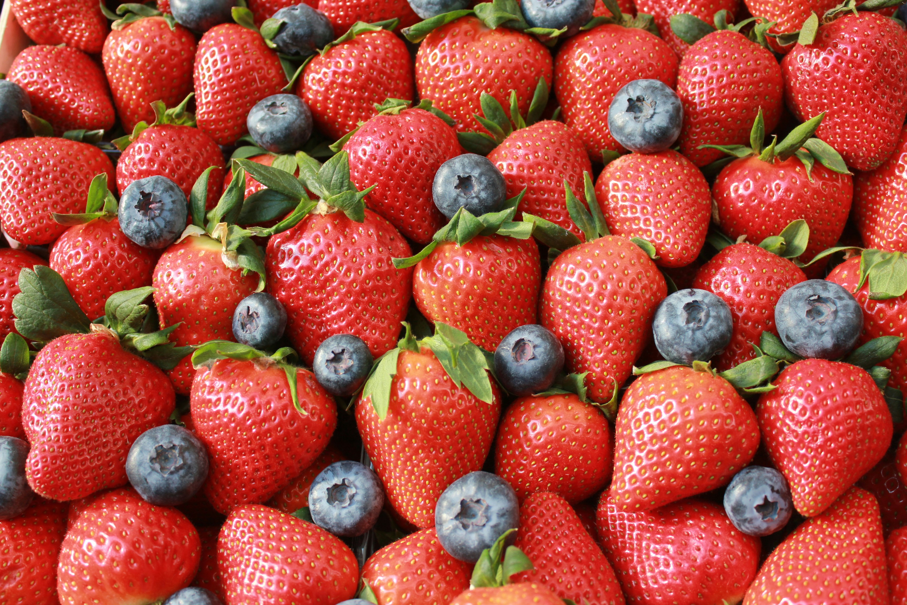 Photo by dareartworks