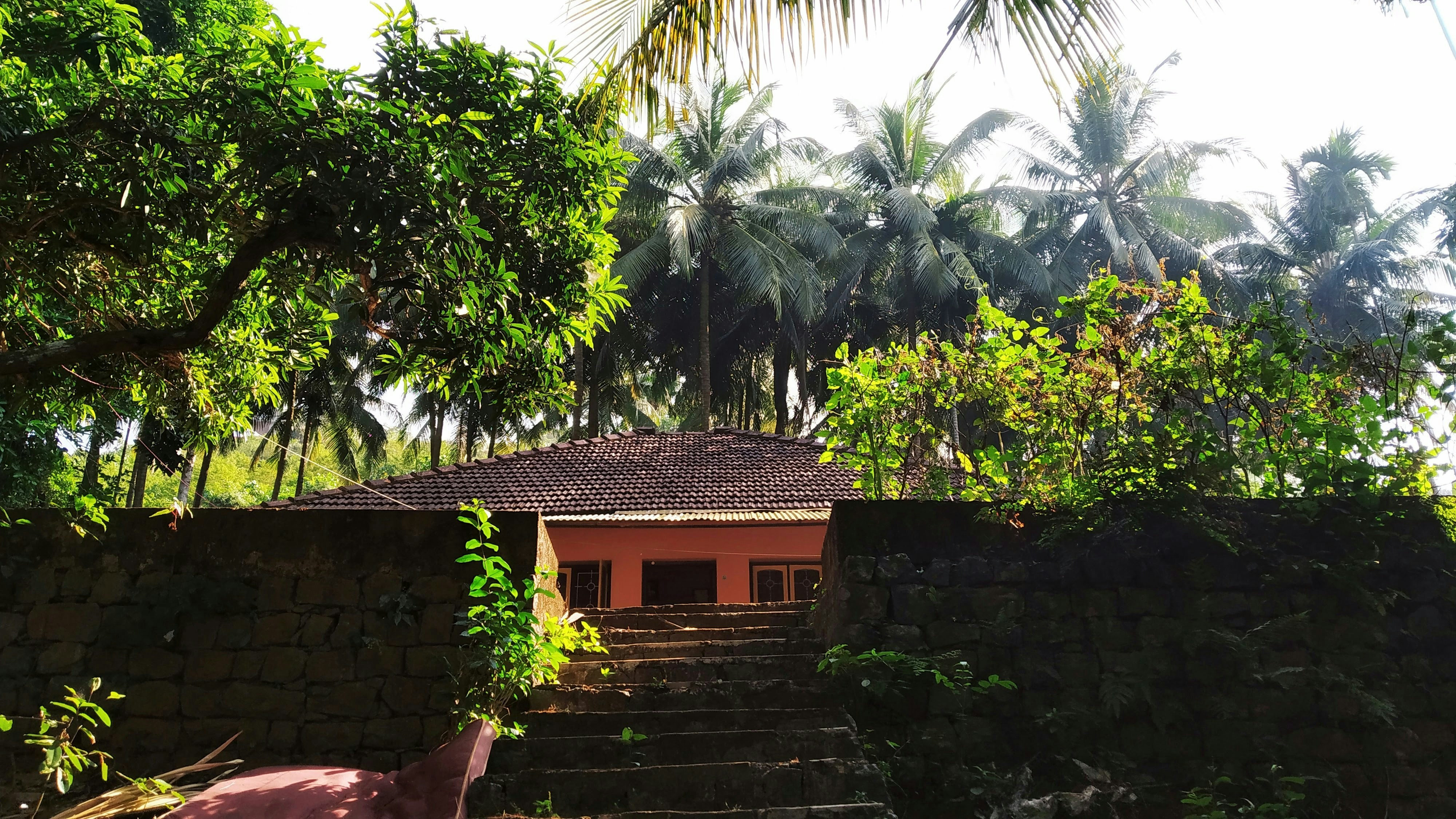 Photo by sweety_coutinho