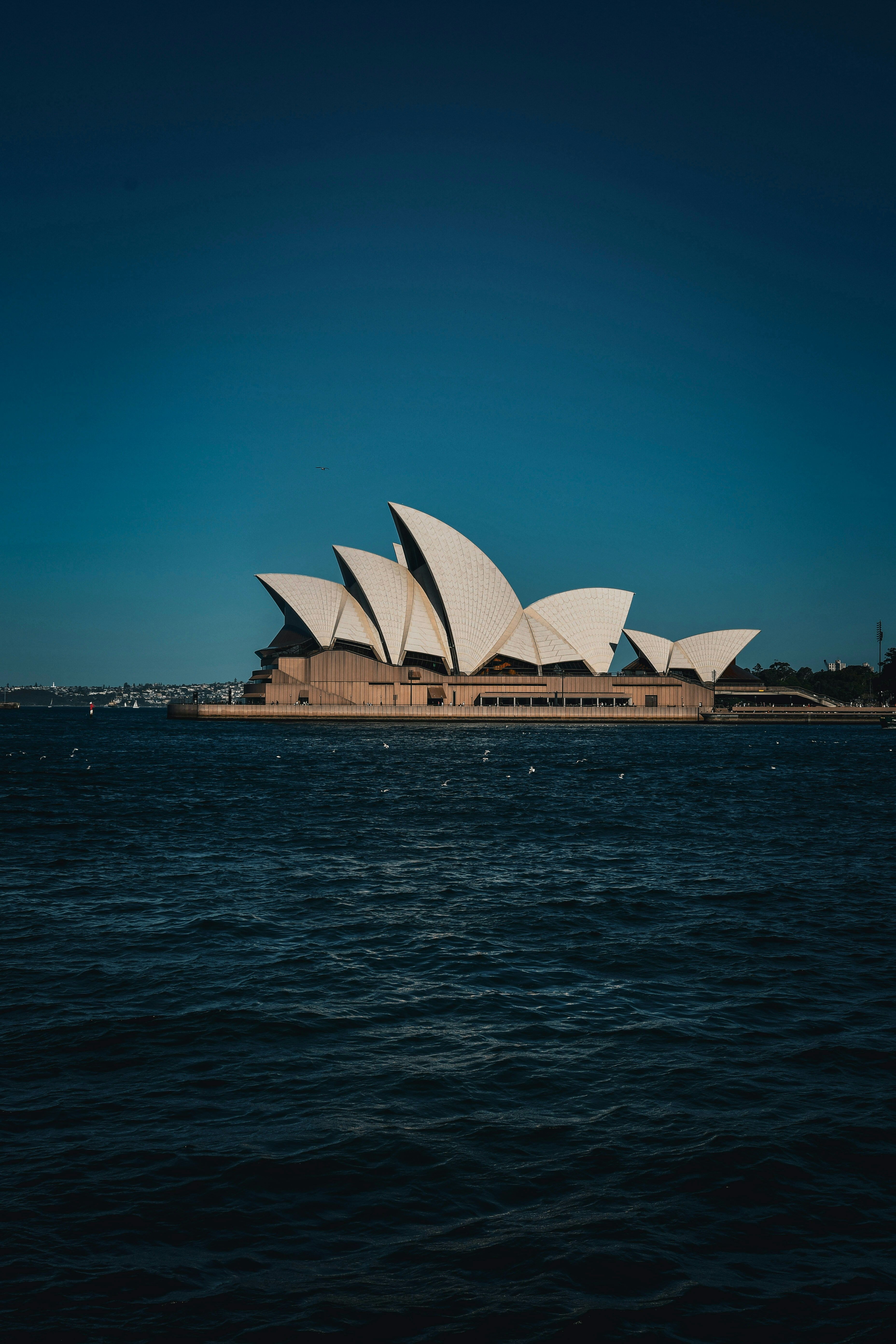 Photo by armandmckenzie