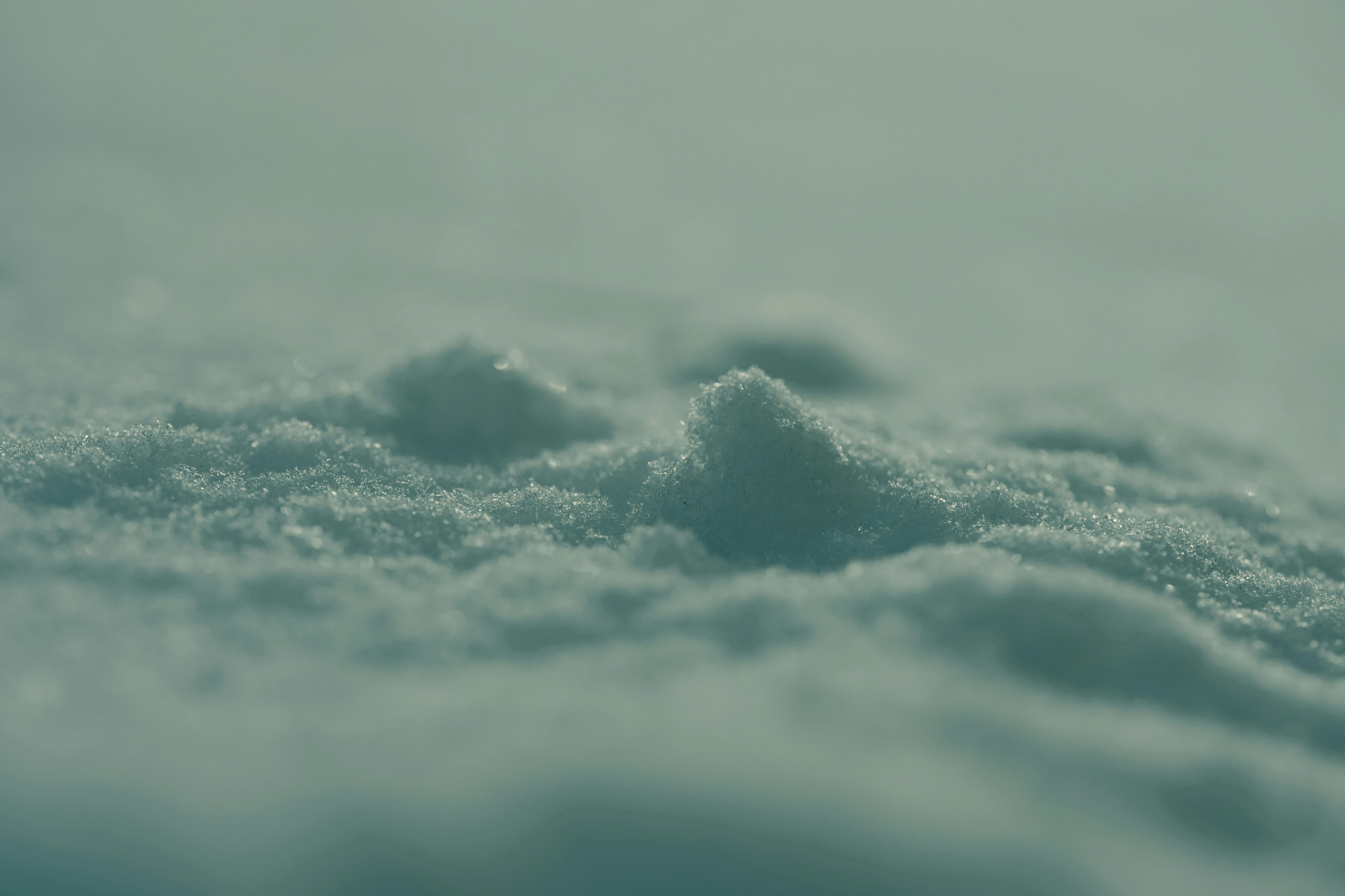 Close-up of powdery snow texture