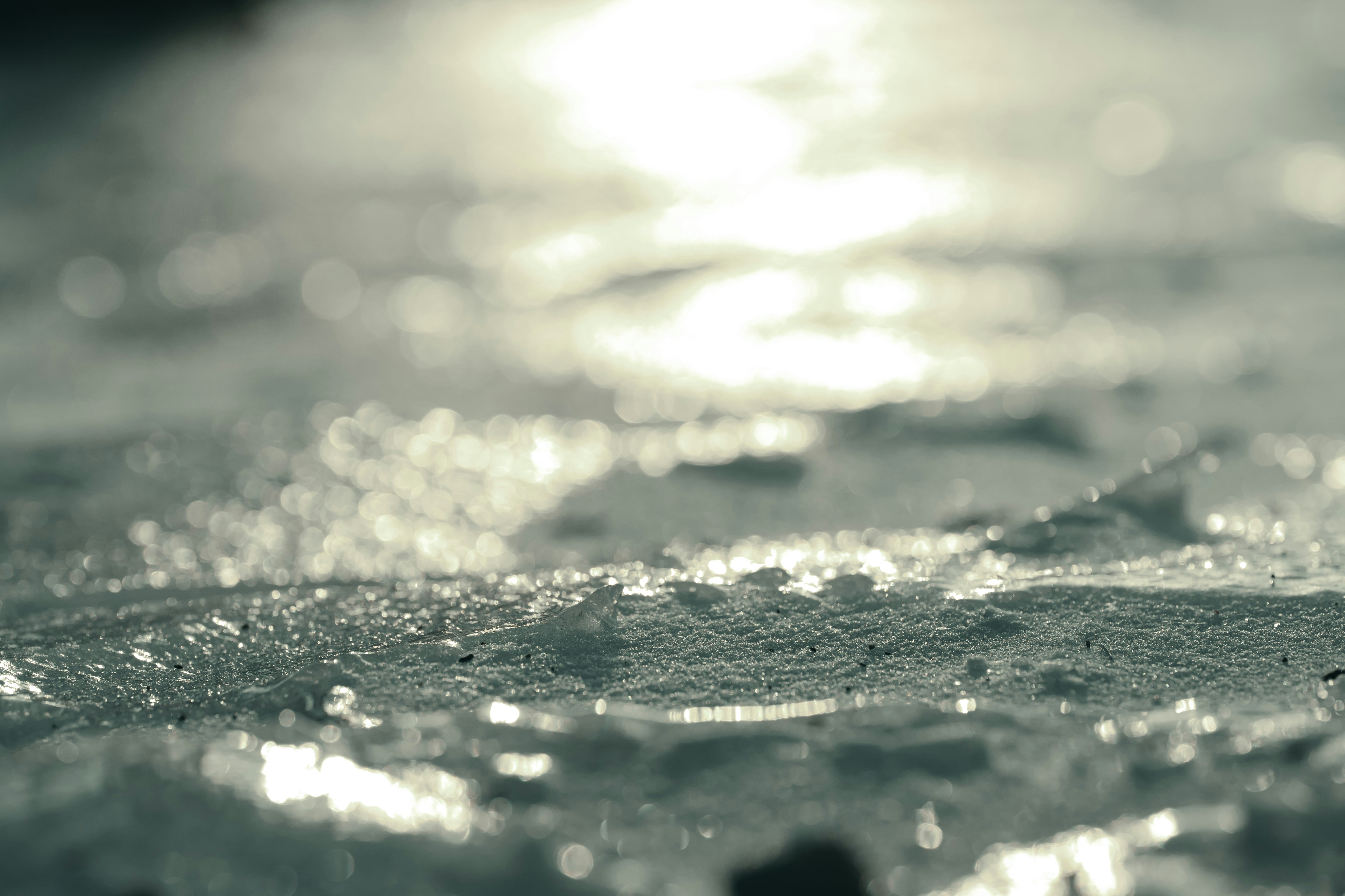 Photo by volodymyr_leush