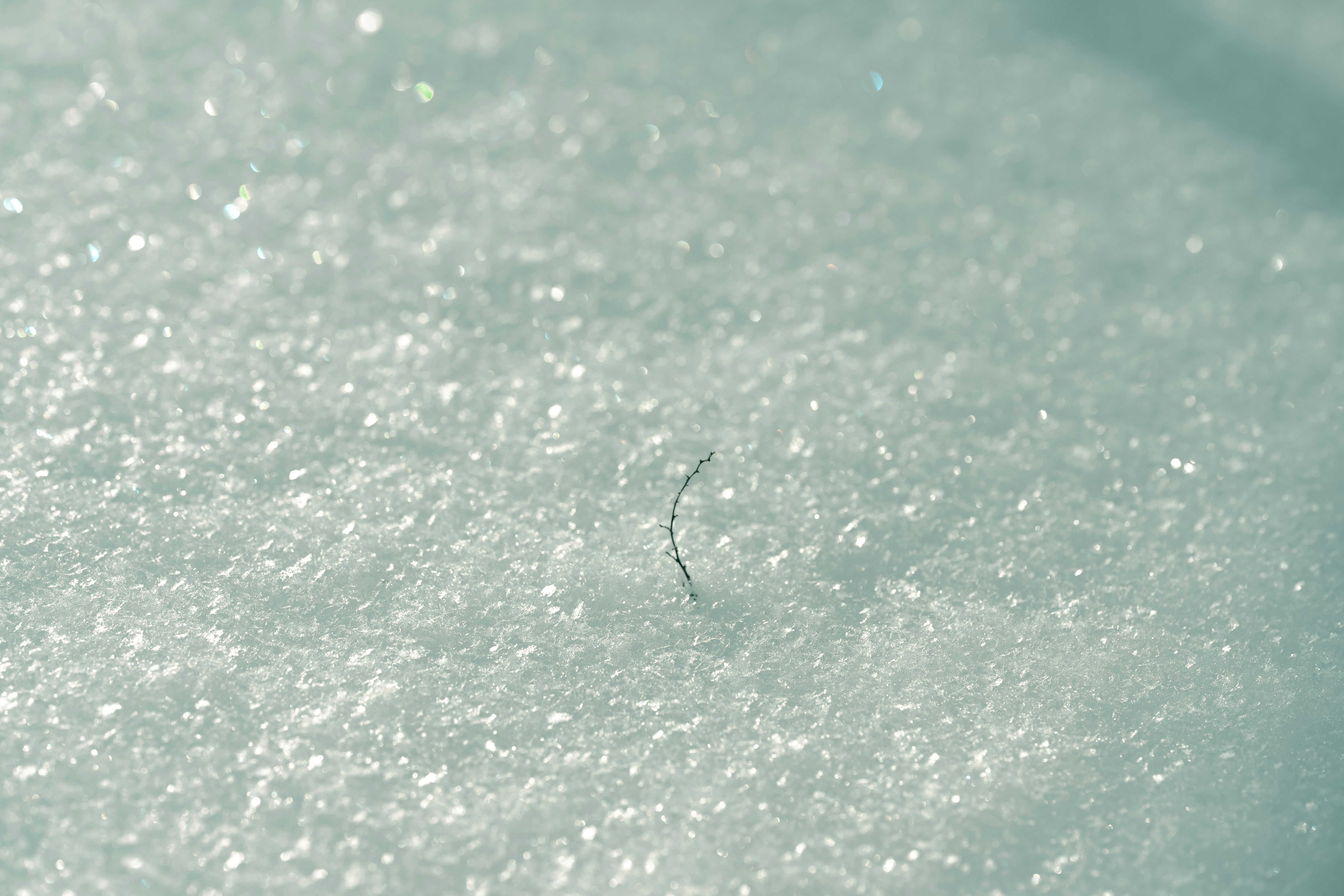 Photo by volodymyr_leush