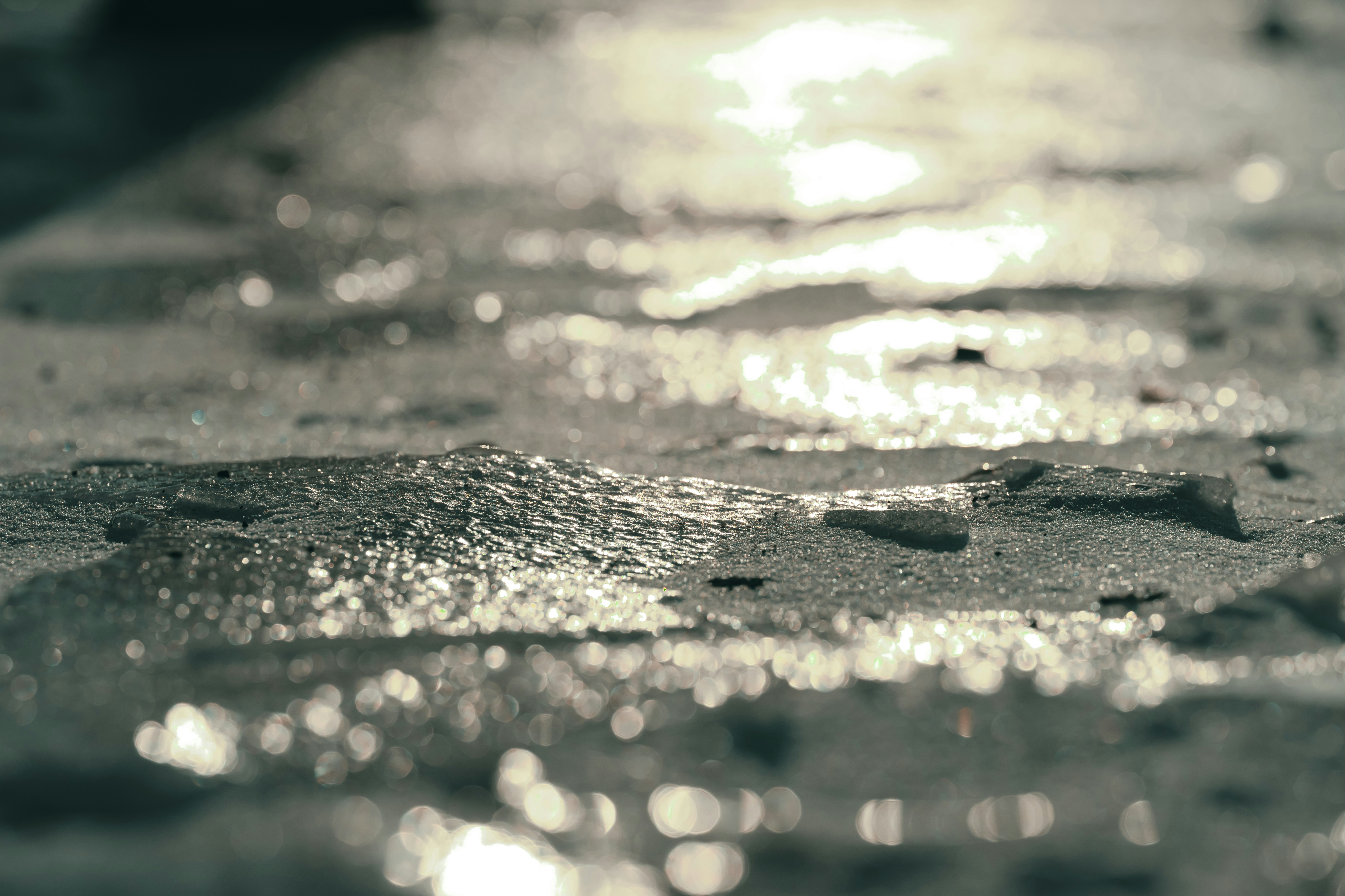 Photo by volodymyr_leush