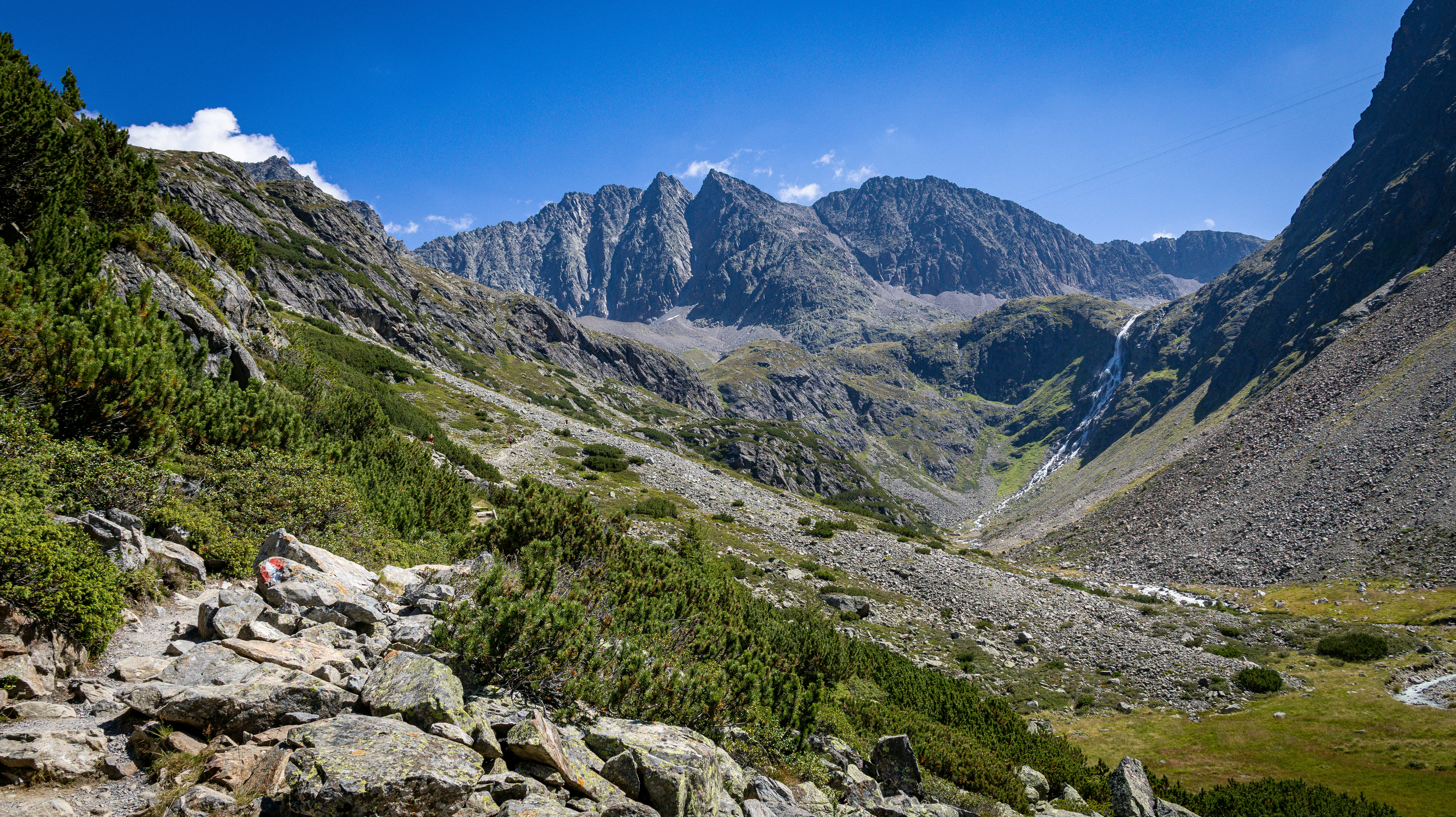 Rocky Mountain Trail mit grünem Laub und entfernten Gipfeln