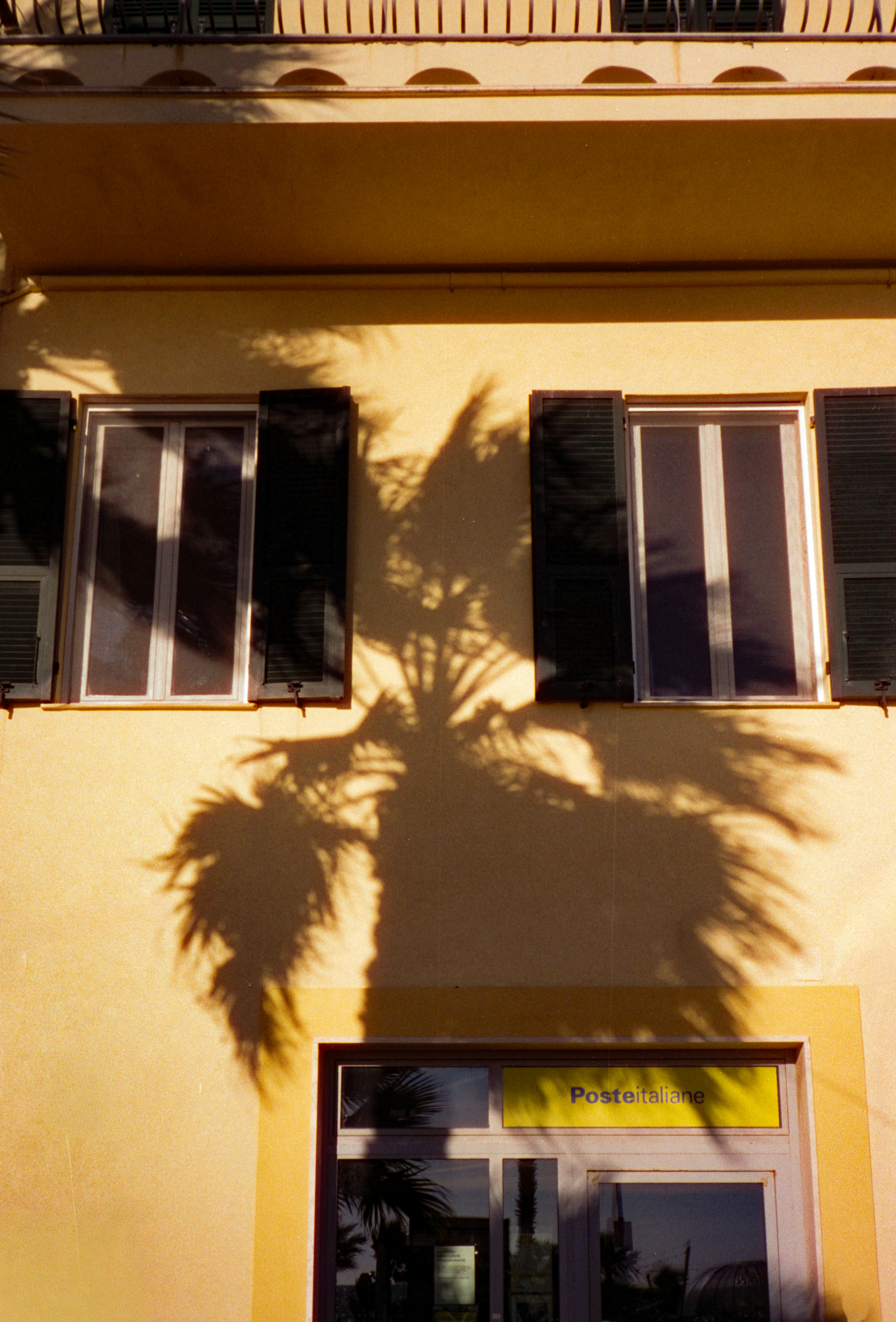 Photo of Palm tree shadow on a yellow building. by Chris Weiher