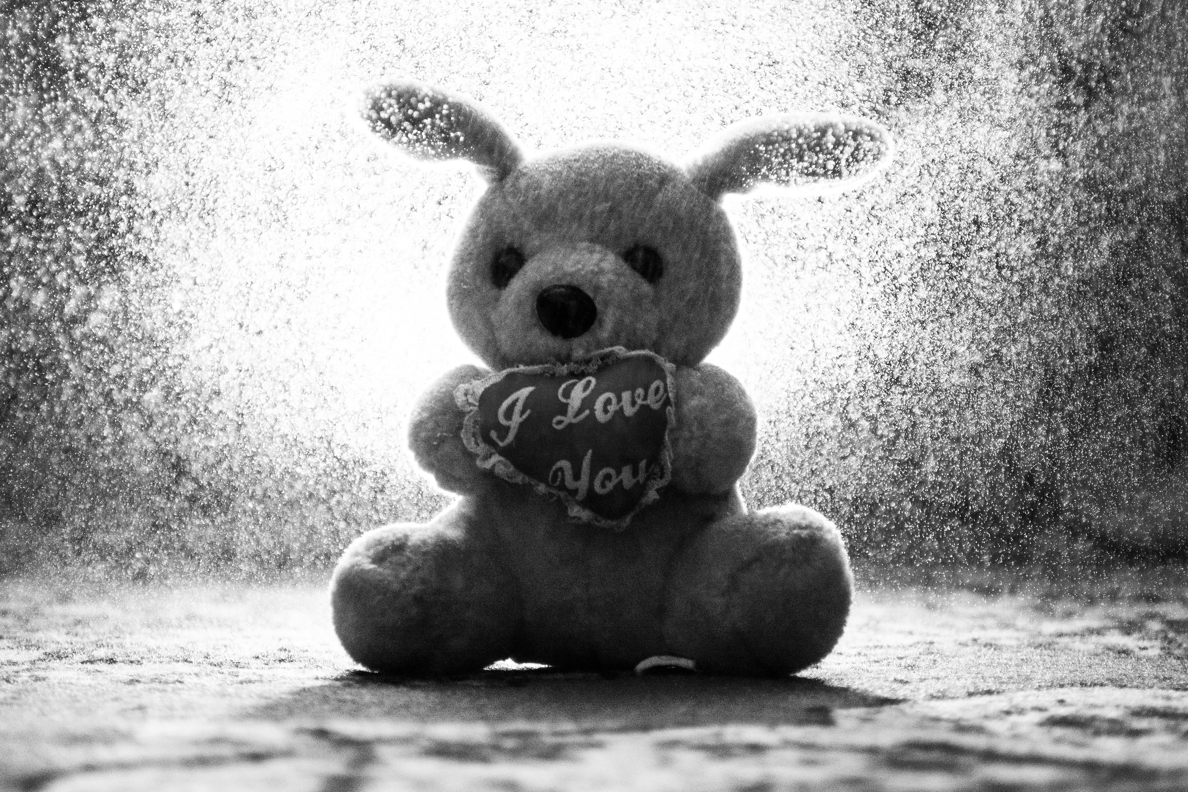 Nostalgia and Gifting: Pre-ordering Classics for the Ultimate Fan Experience