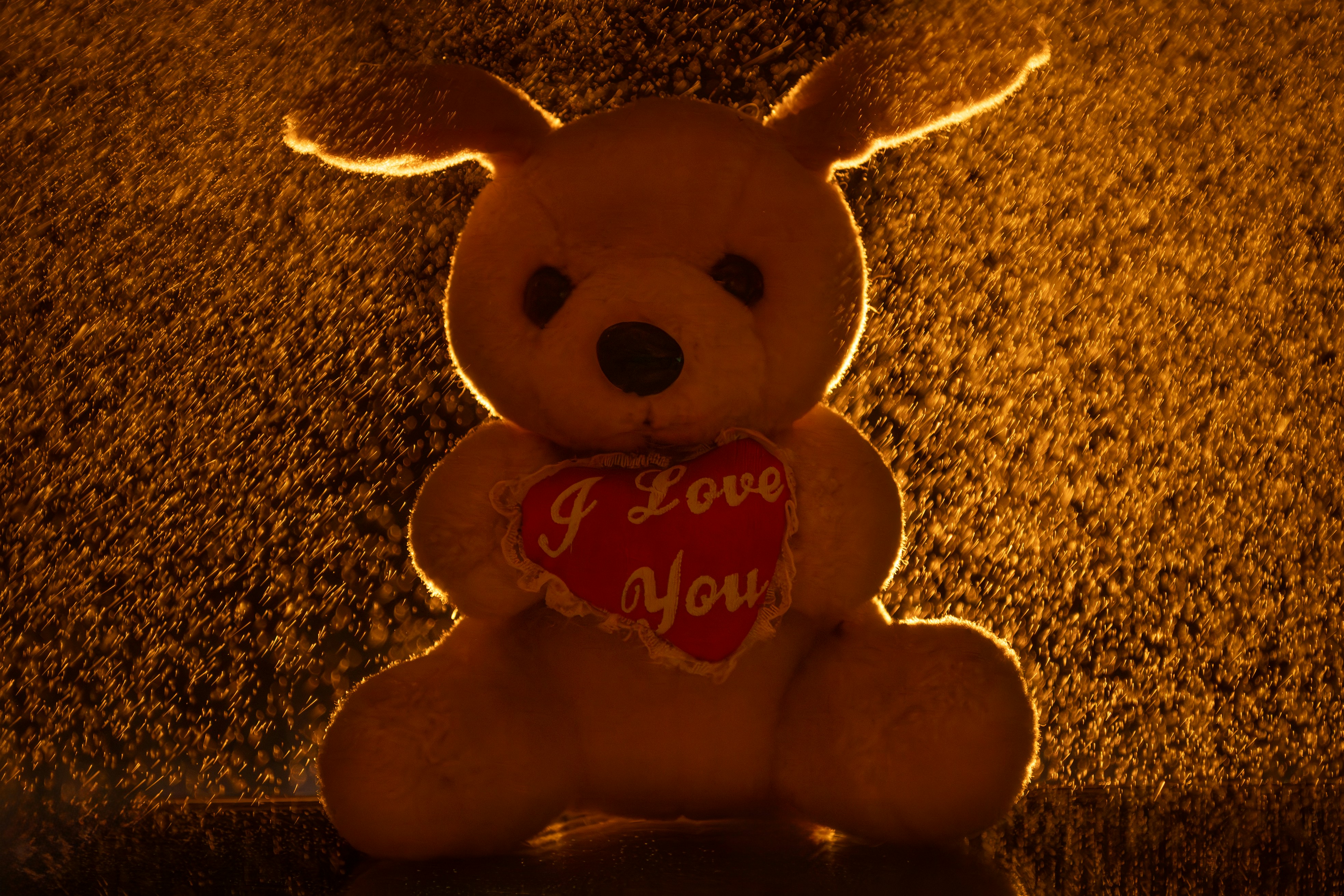 Heartfelt Teddy Day Wishes: Cute Messages to Melt Her