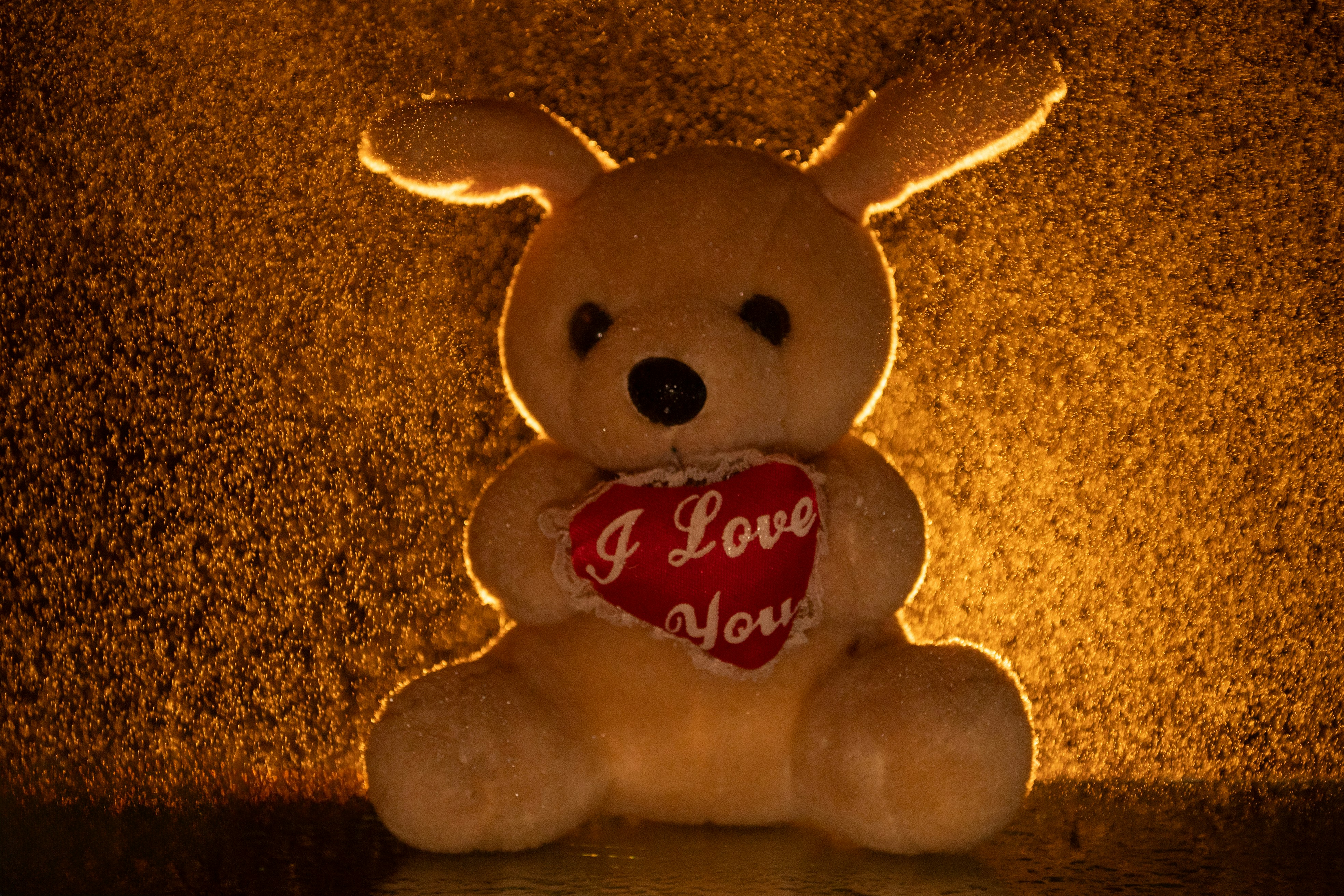 Happy Teddy Day My Love: 25 Heartfelt Wishes & Messages