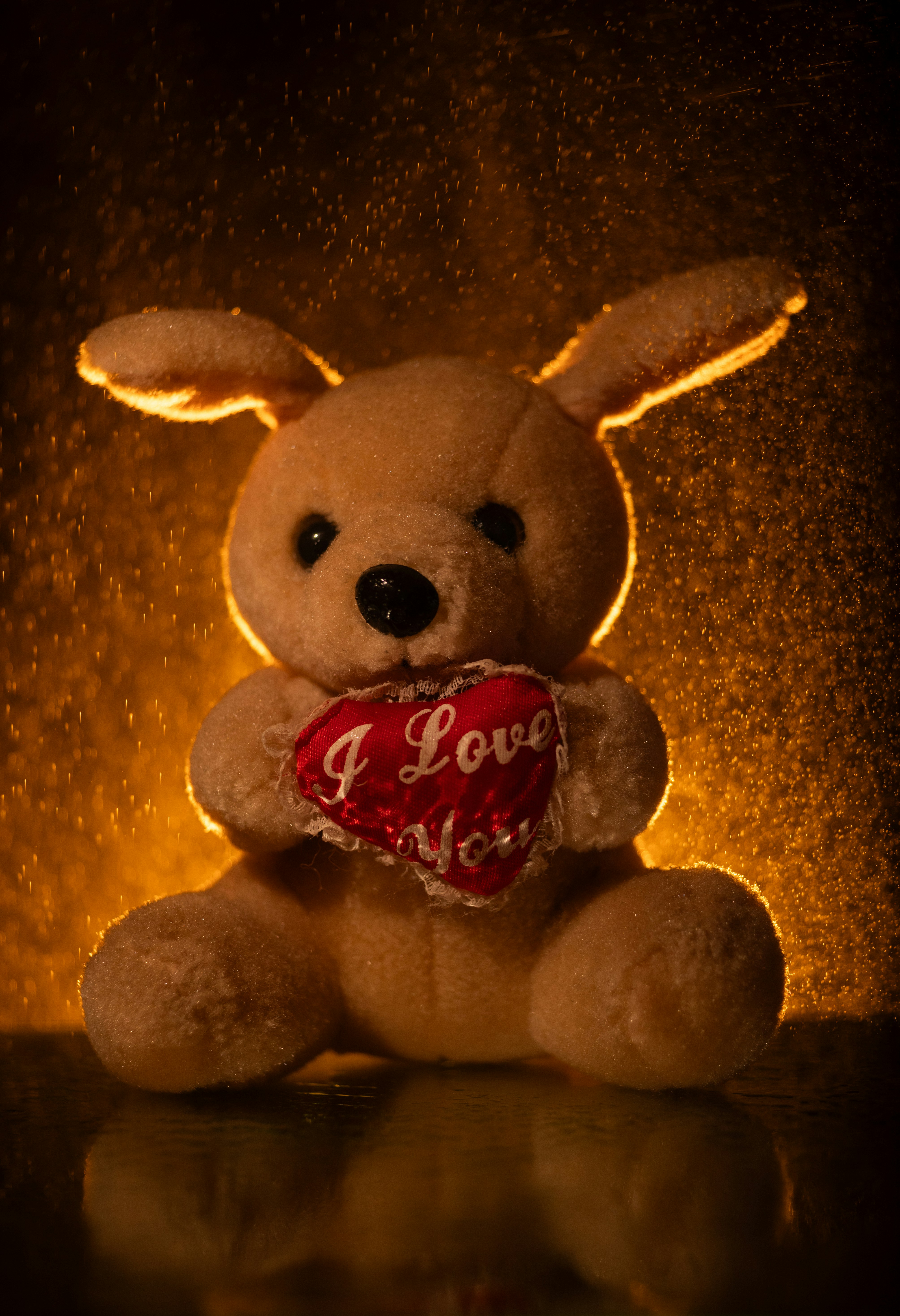 A teddy bear holds a heart saying i love you