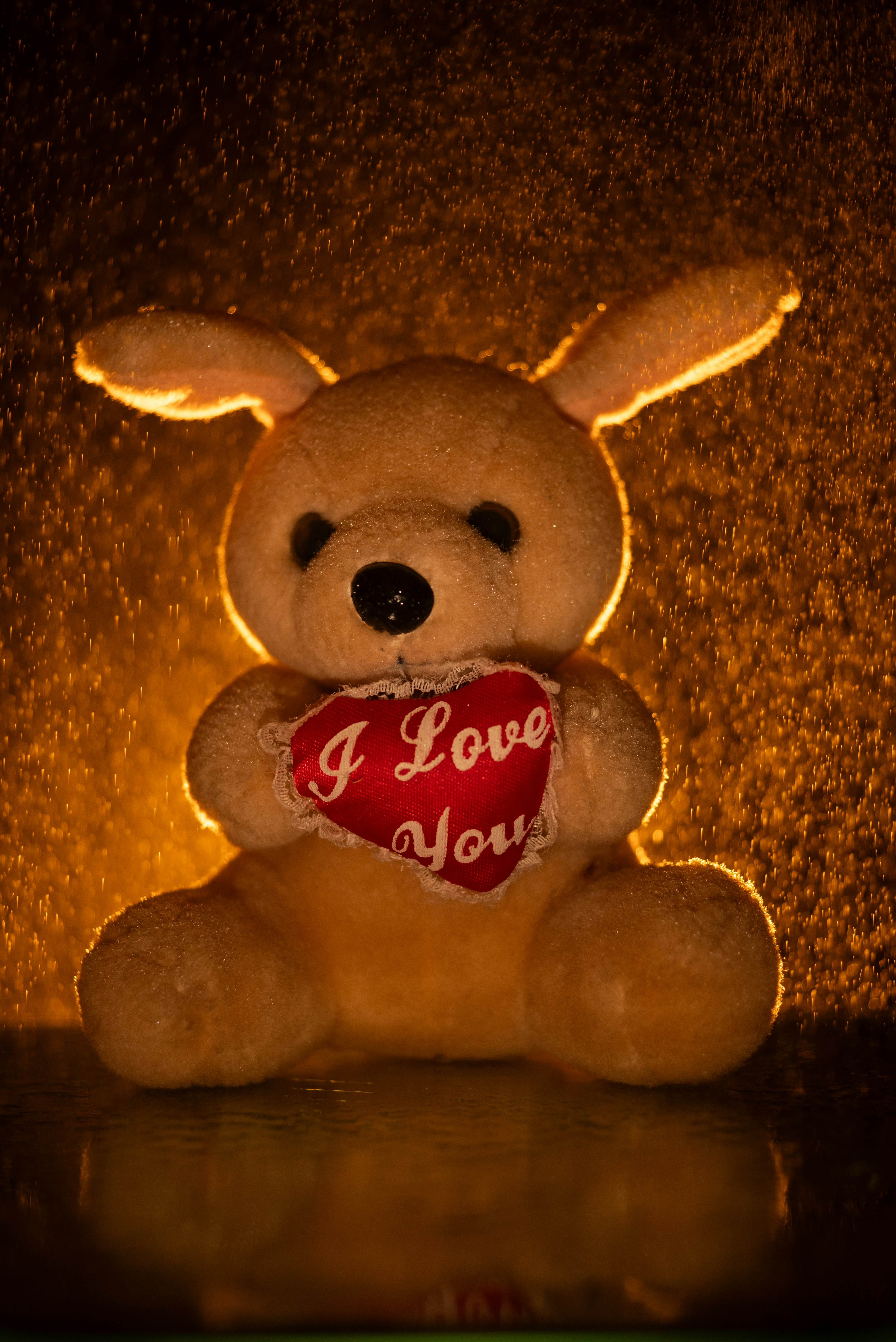 A plush bunny holds a heart saying i love you