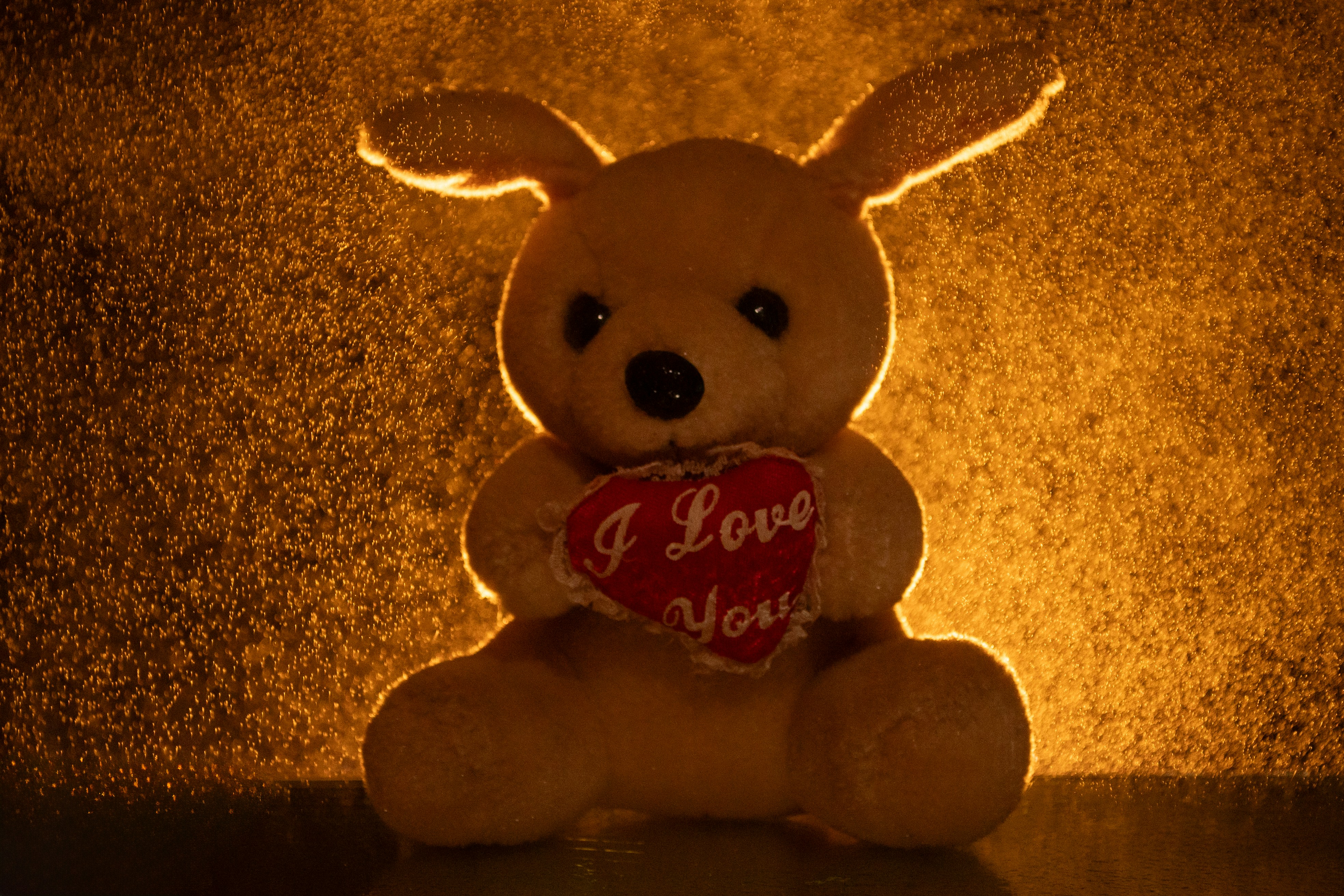 A teddy bear holding a heart with "i love you"