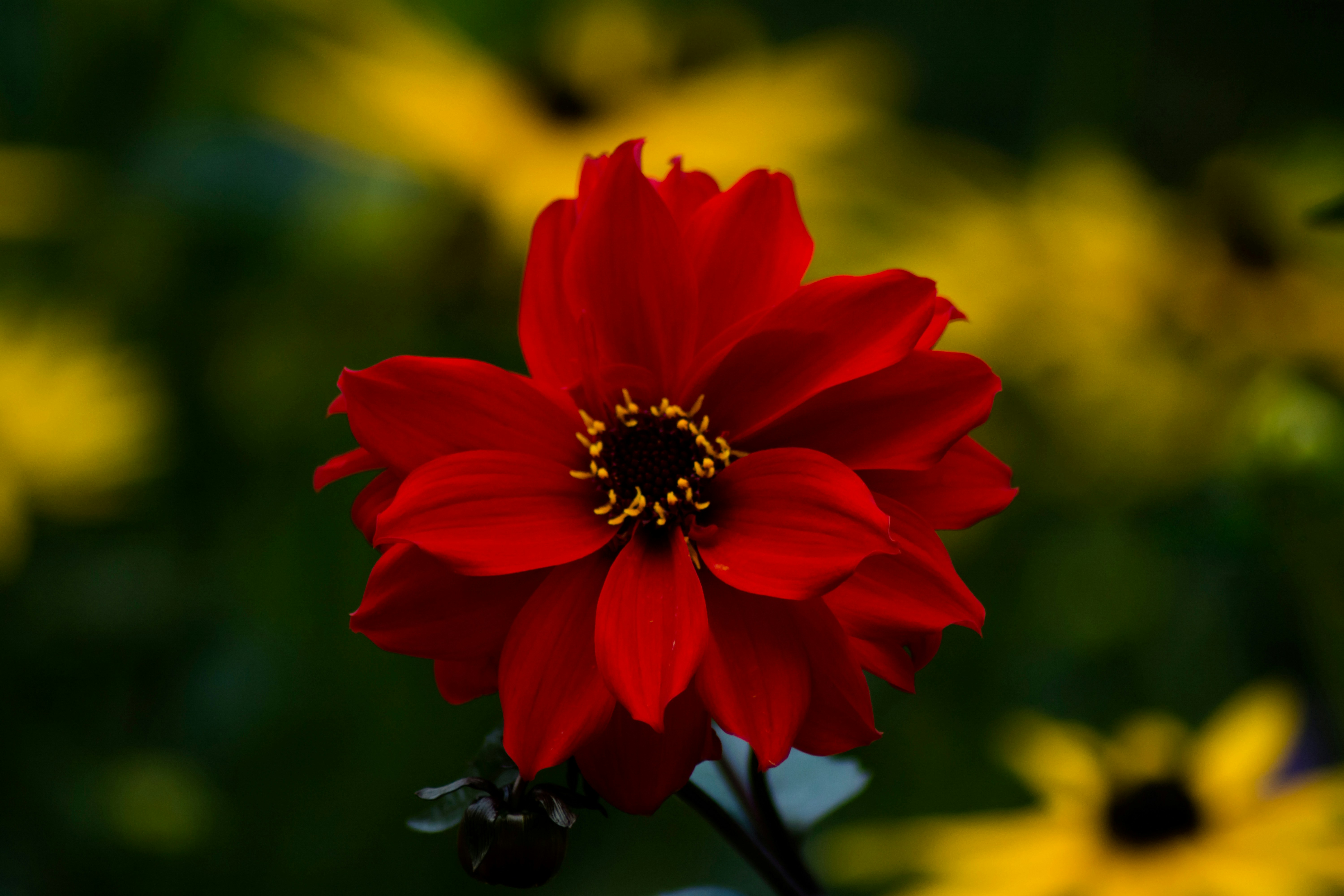 Photo by atelierbyvineeth