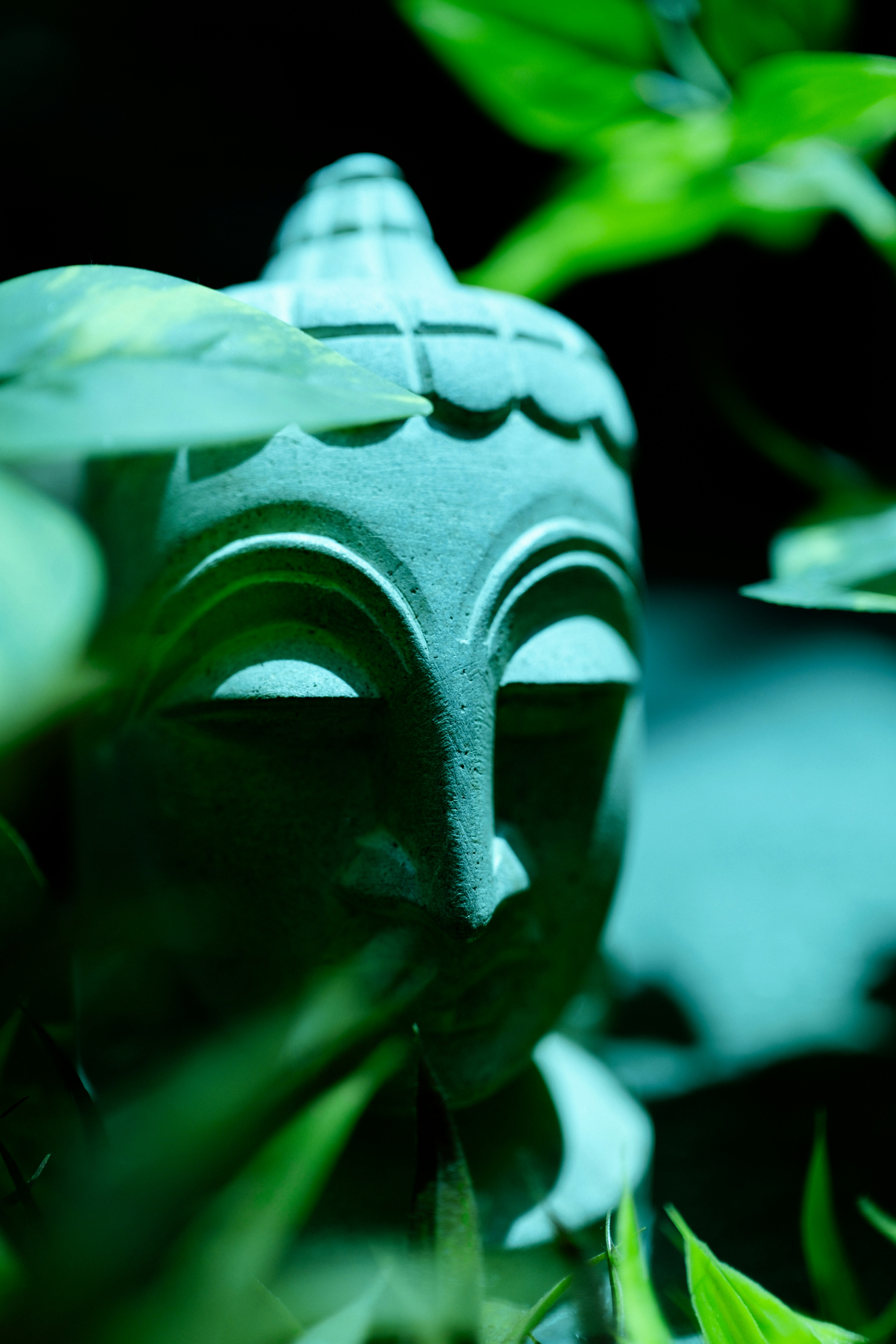 Photo by atelierbyvineeth