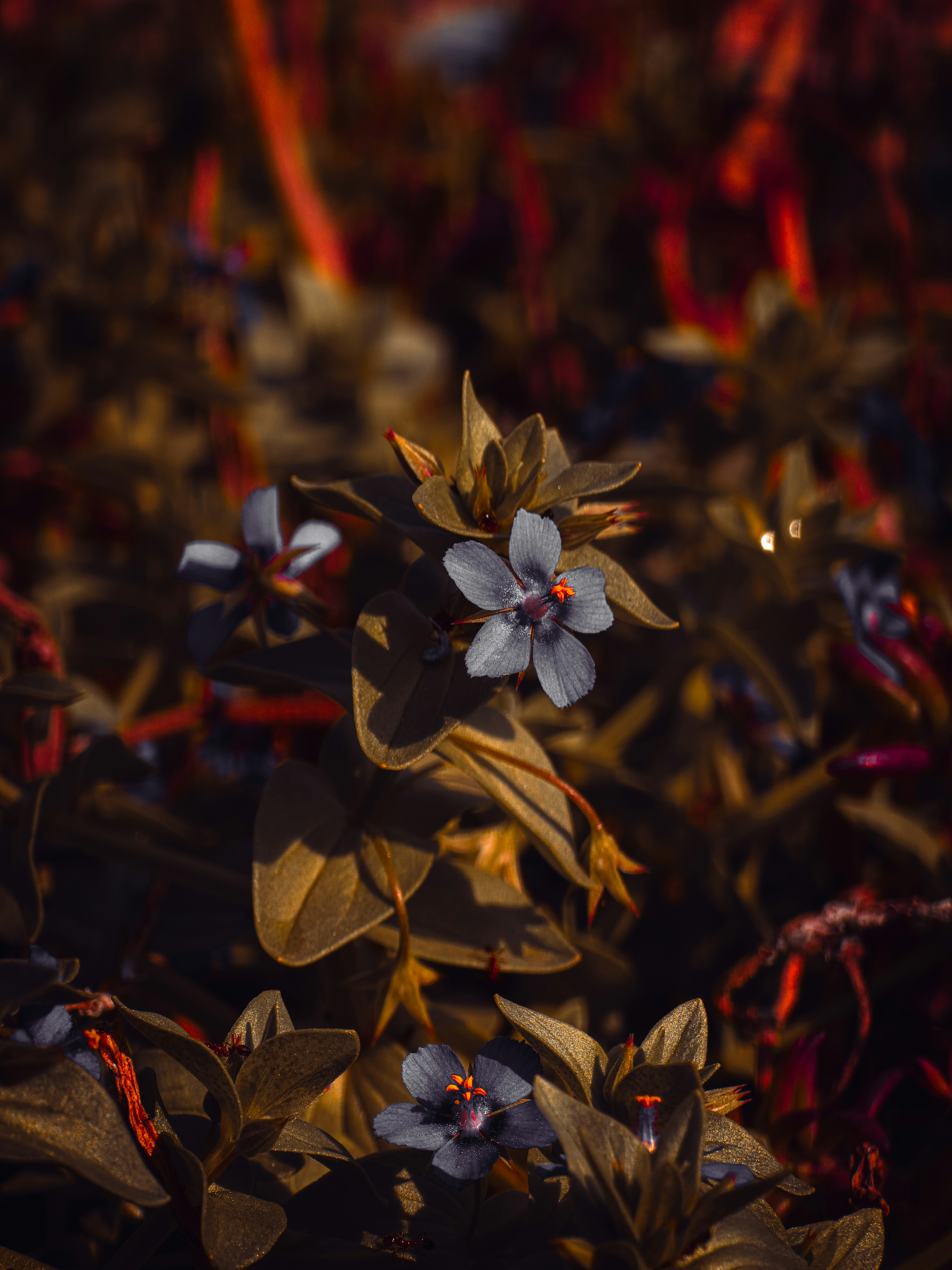Photo by amazingclicks