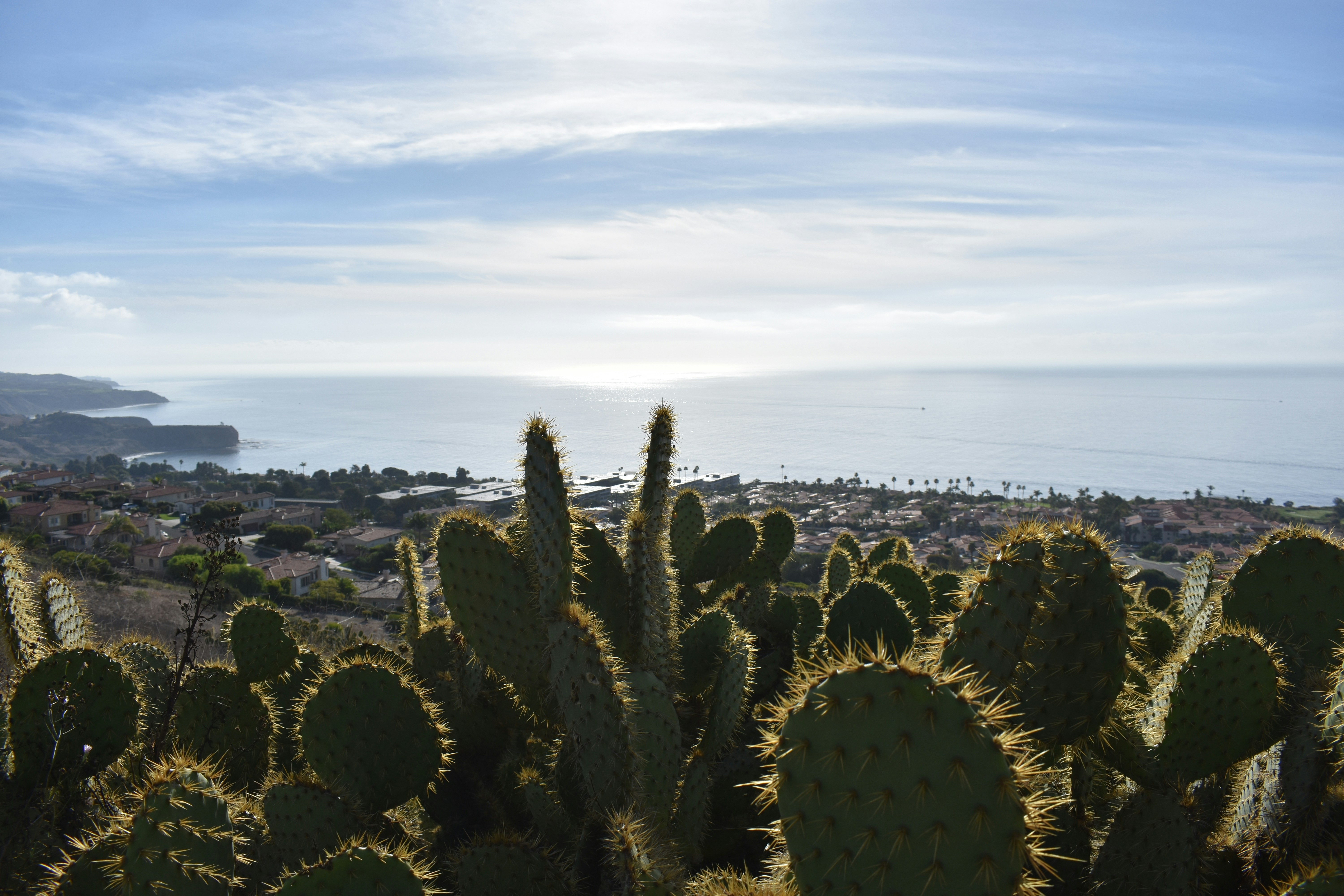 Los Ninos Park