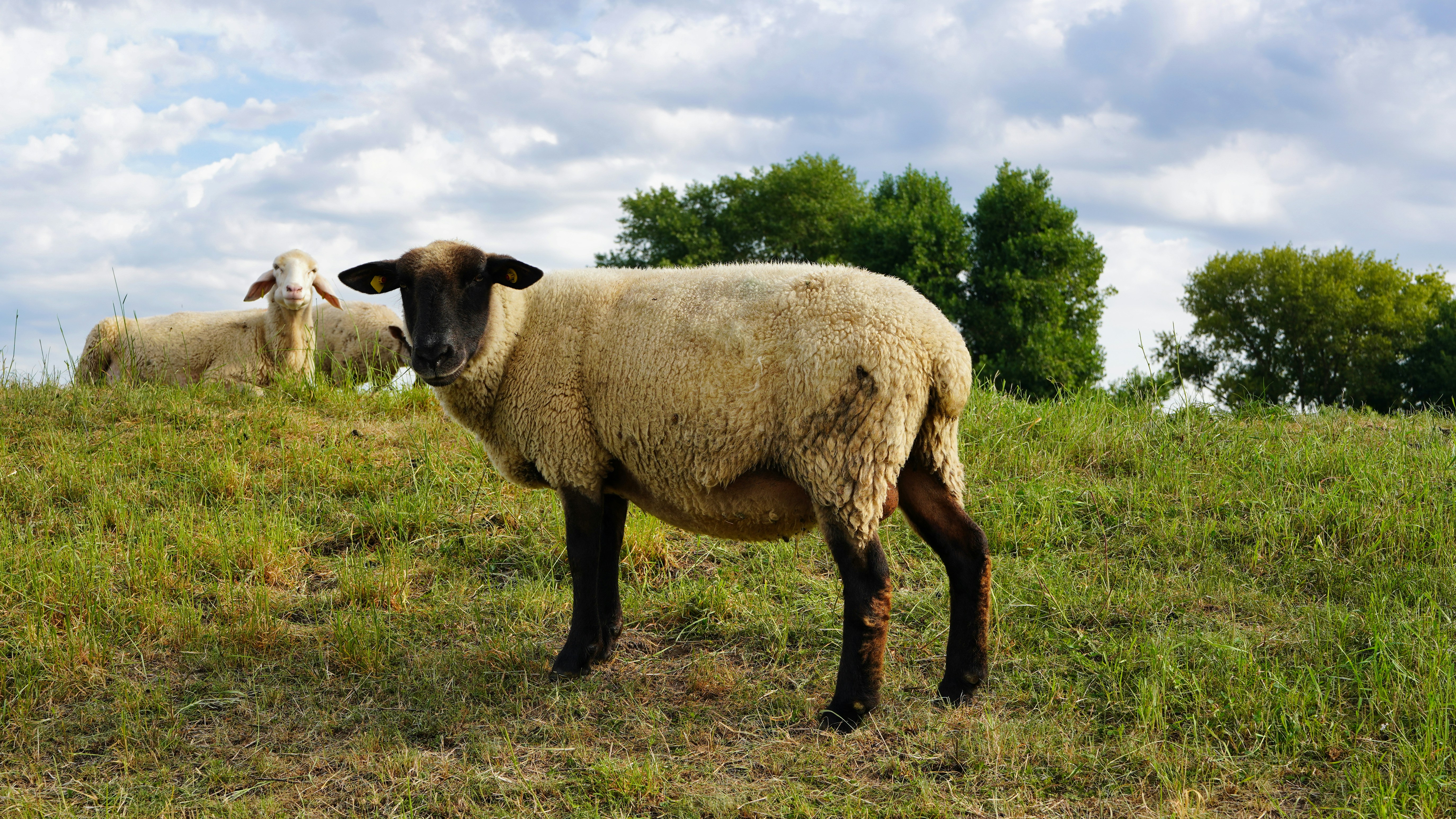 Photo by hamburgmeinefreundin