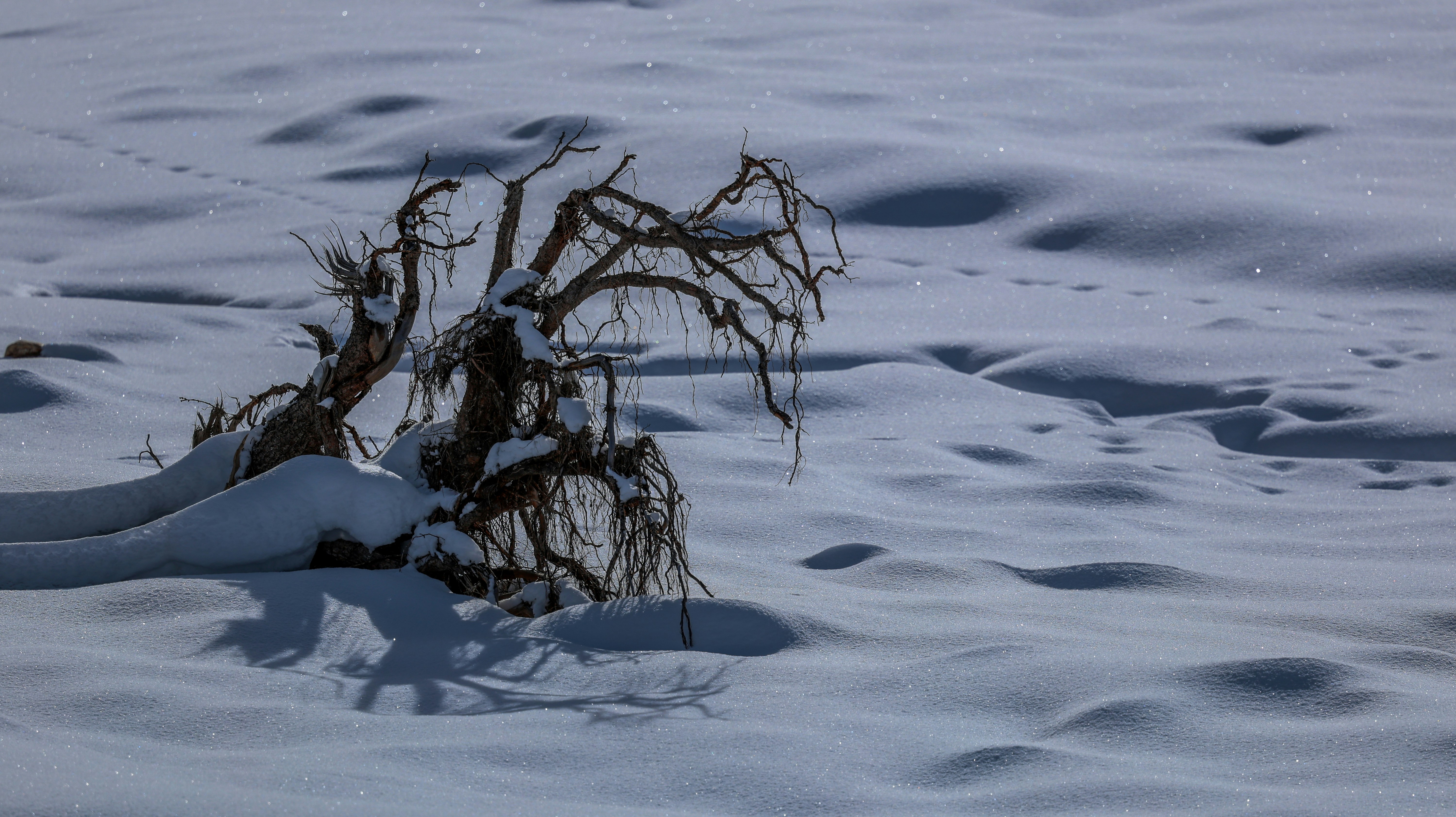 Photo by valomukitse