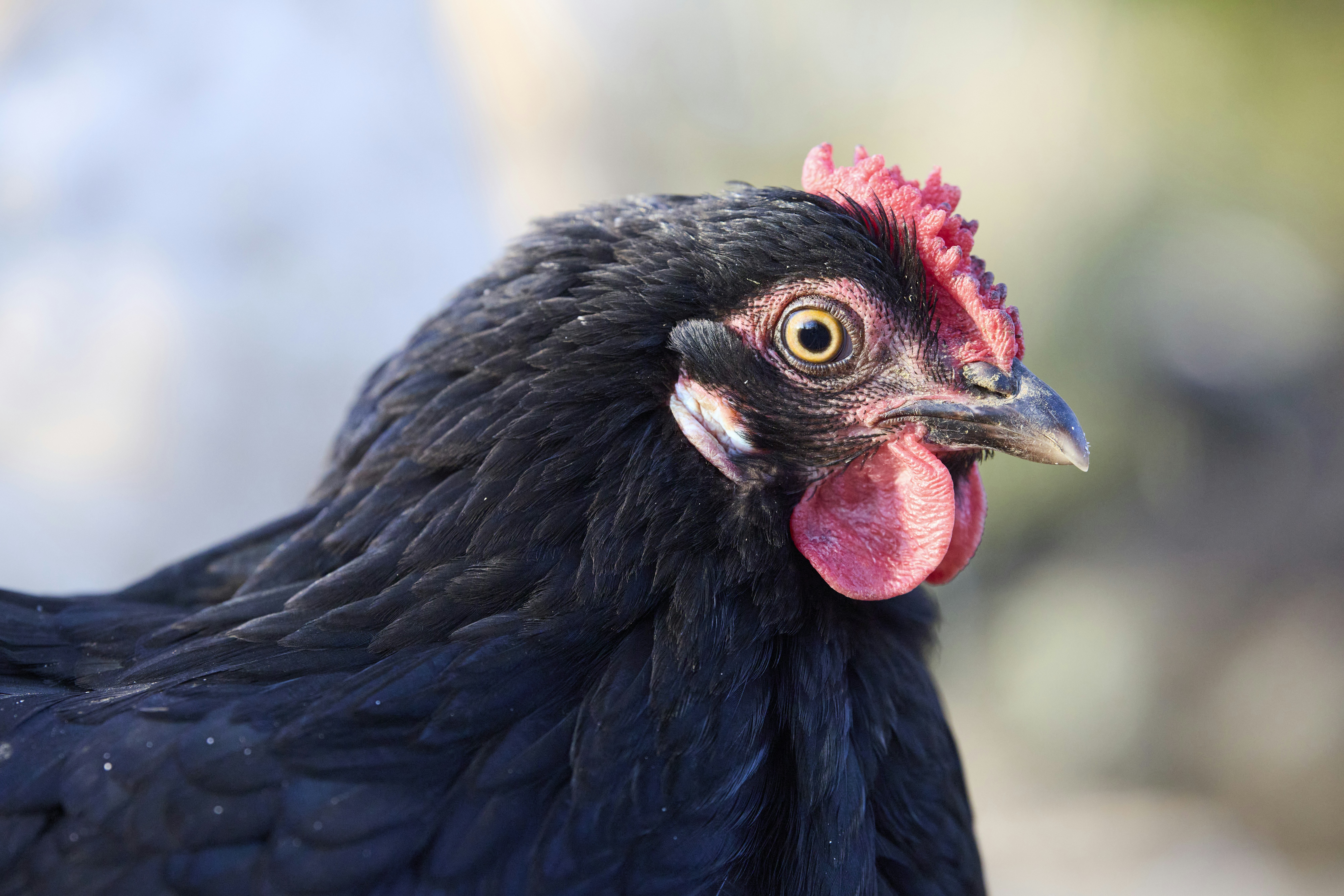 Photo by erwinbosman