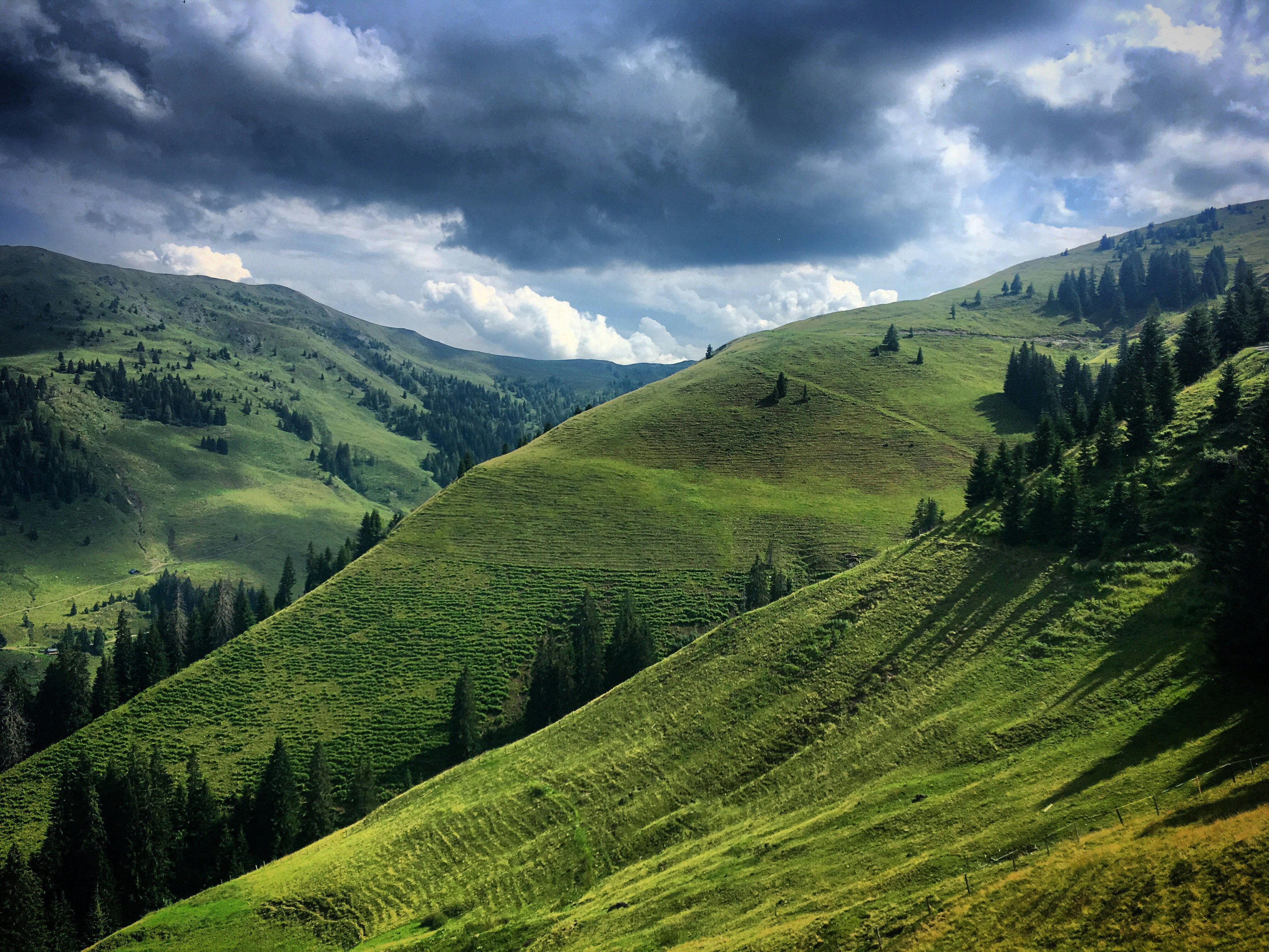 Photo by sergei_gussev