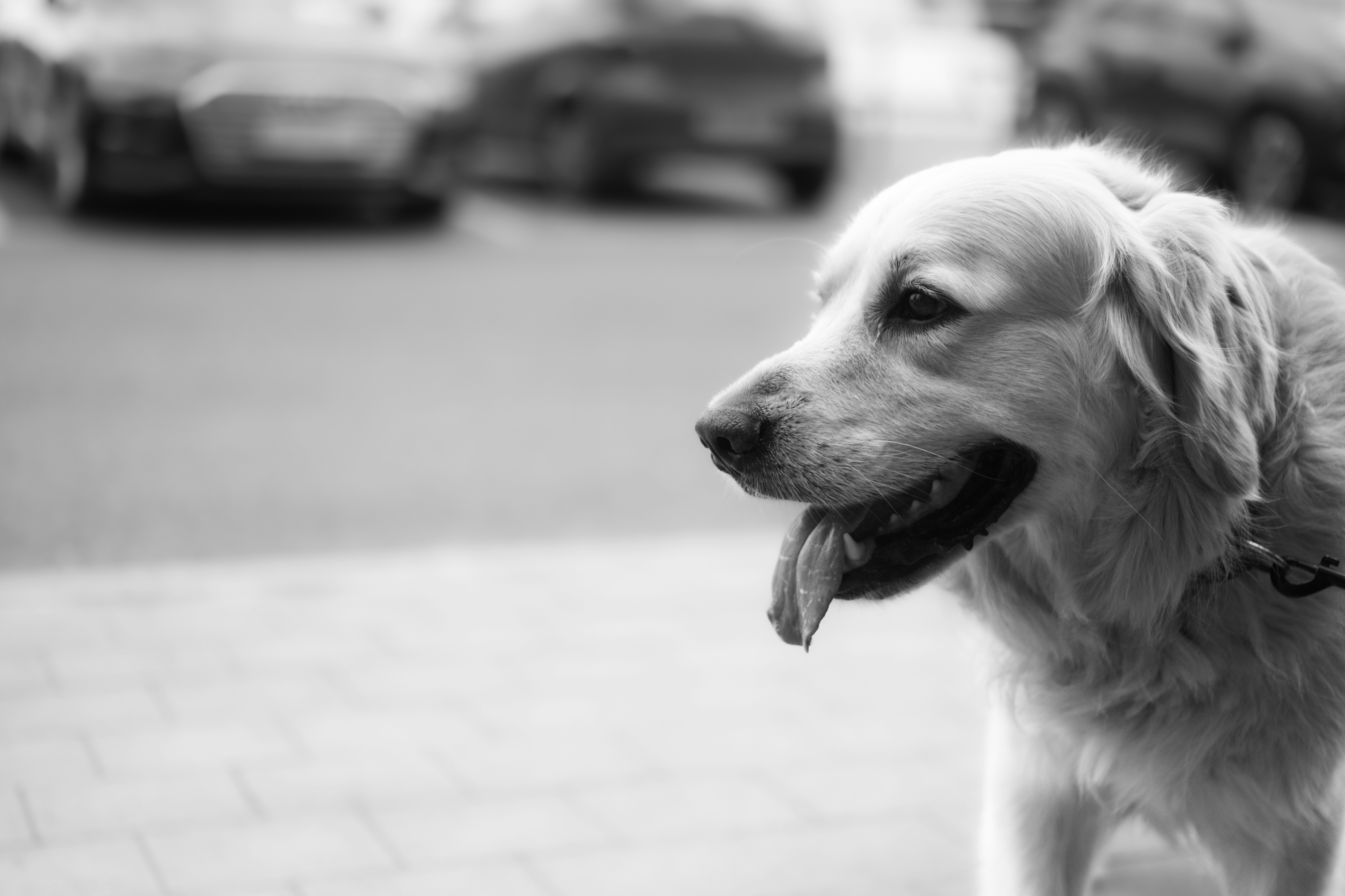 Photo by atelierbyvineeth