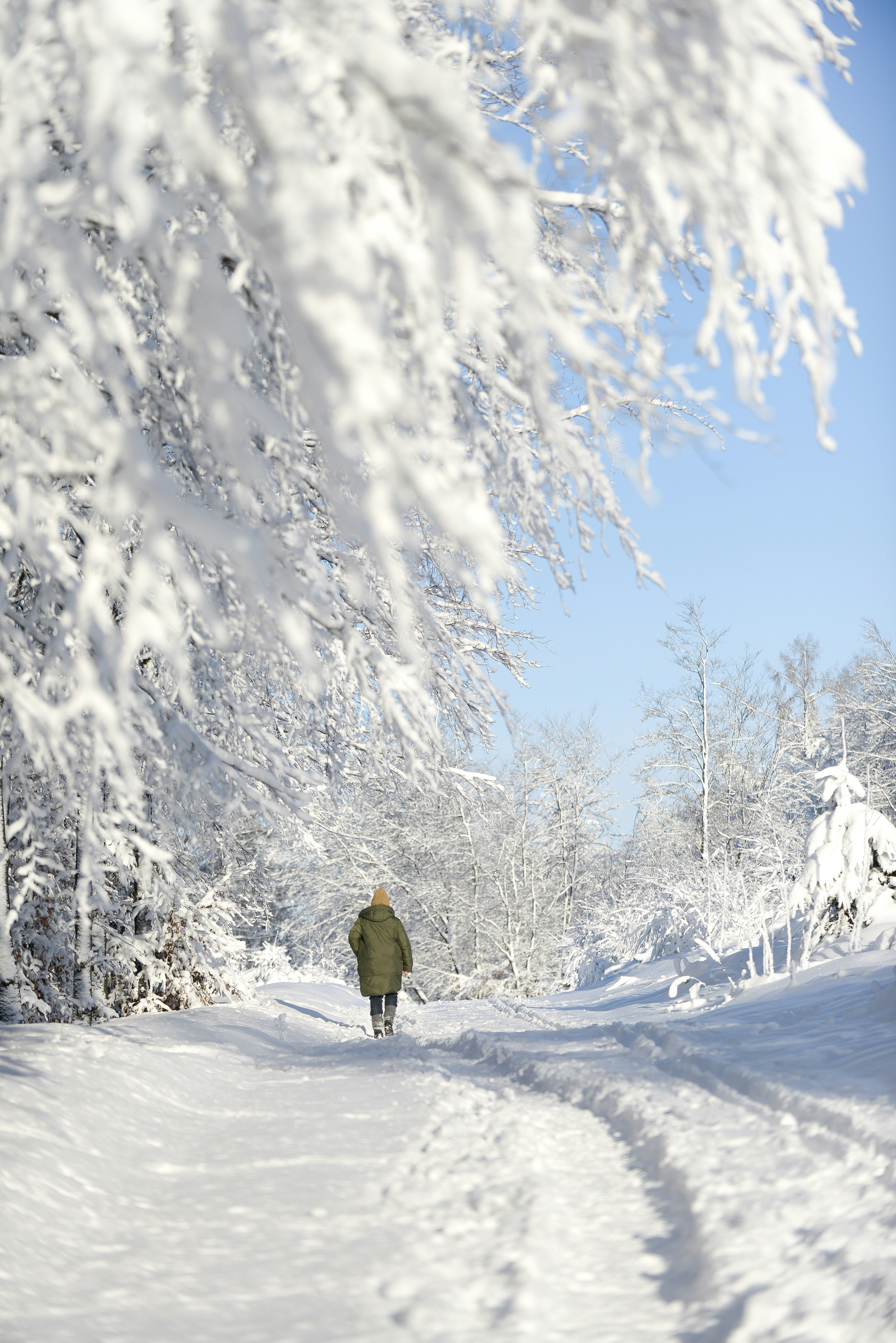Person walking on a snowy path through a winter forest.