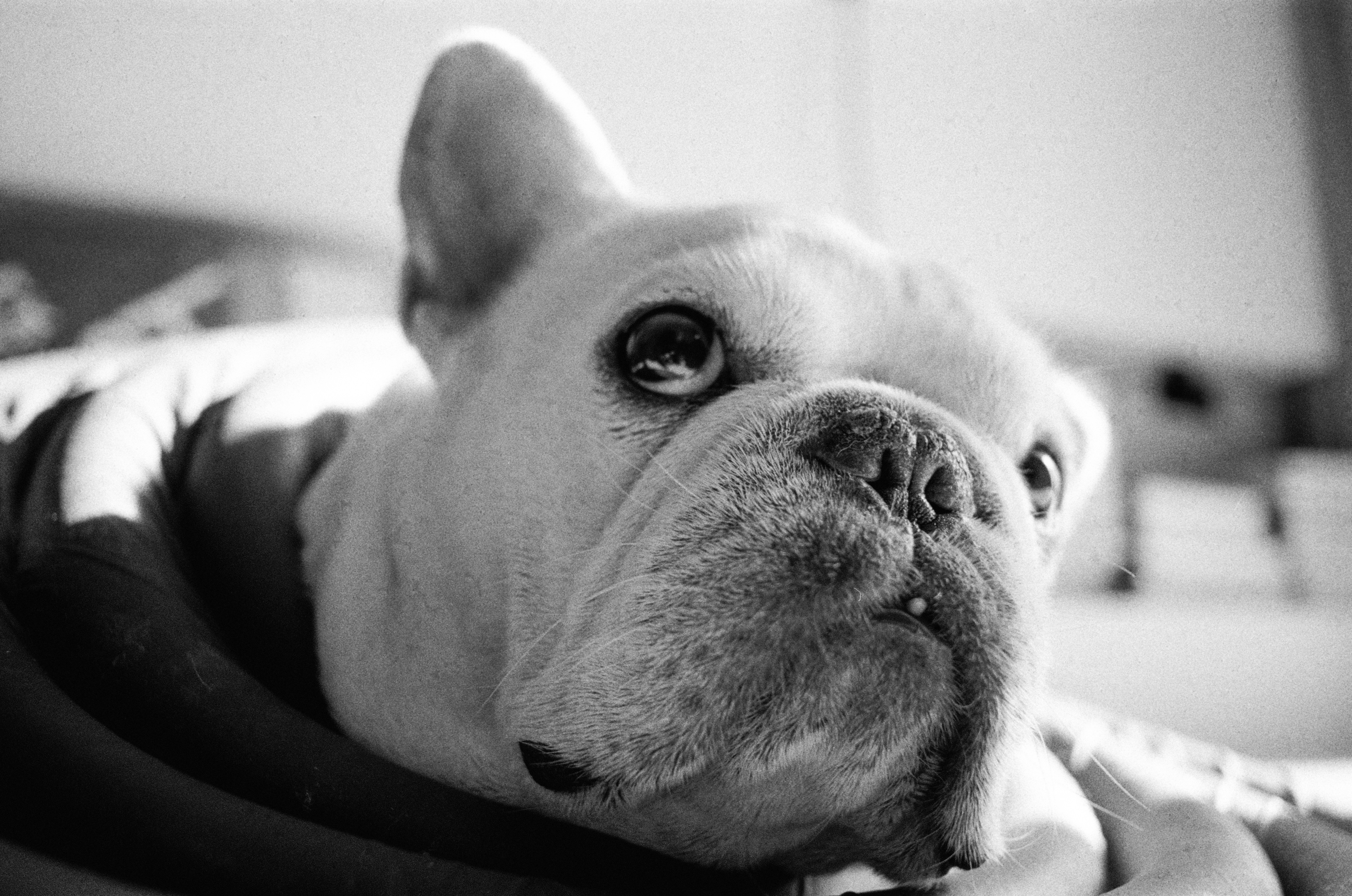 Photo by zhenyao_photo