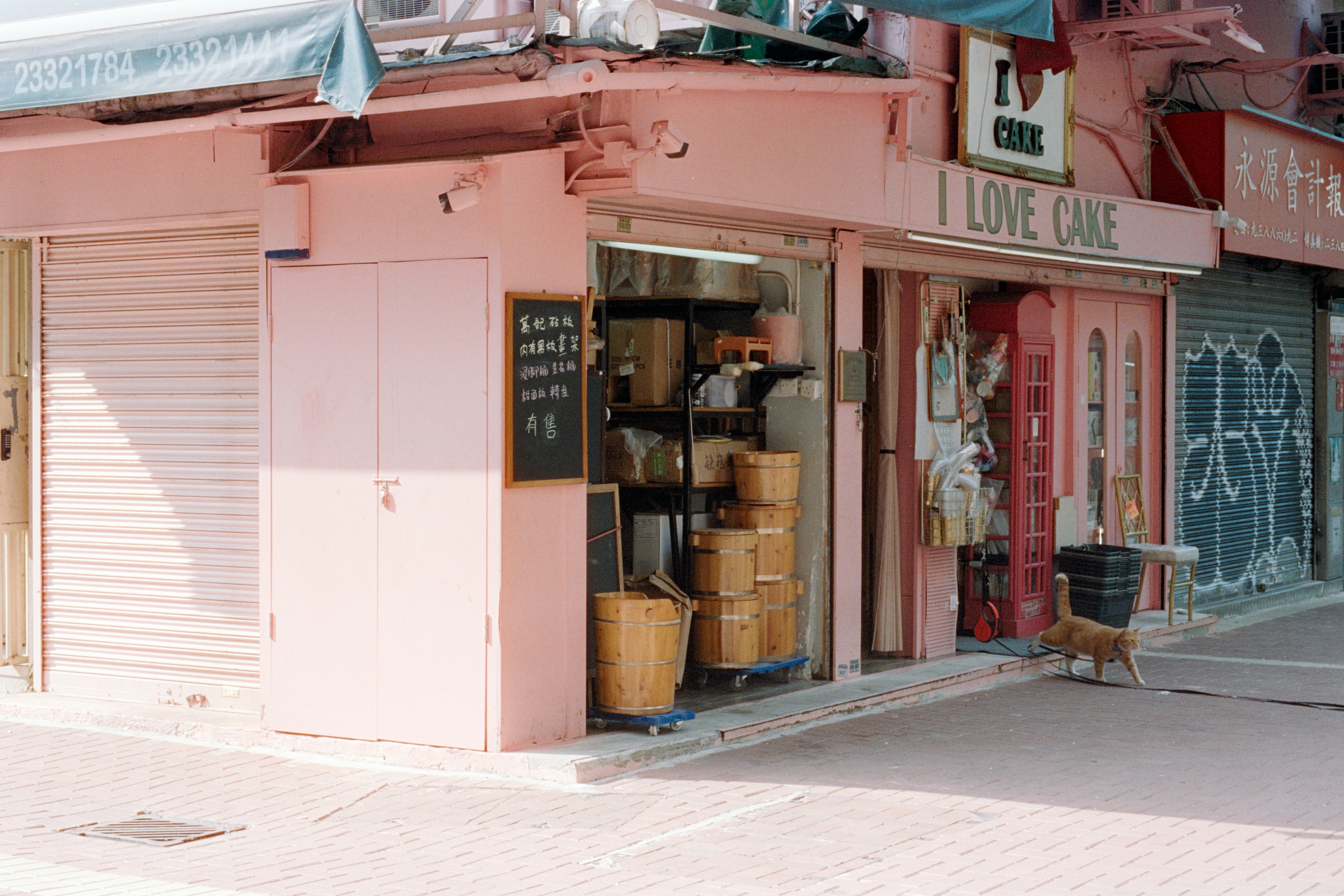 Arôme Bakery Brings Hong Kong Pastry Magic to Chinatown with New Location