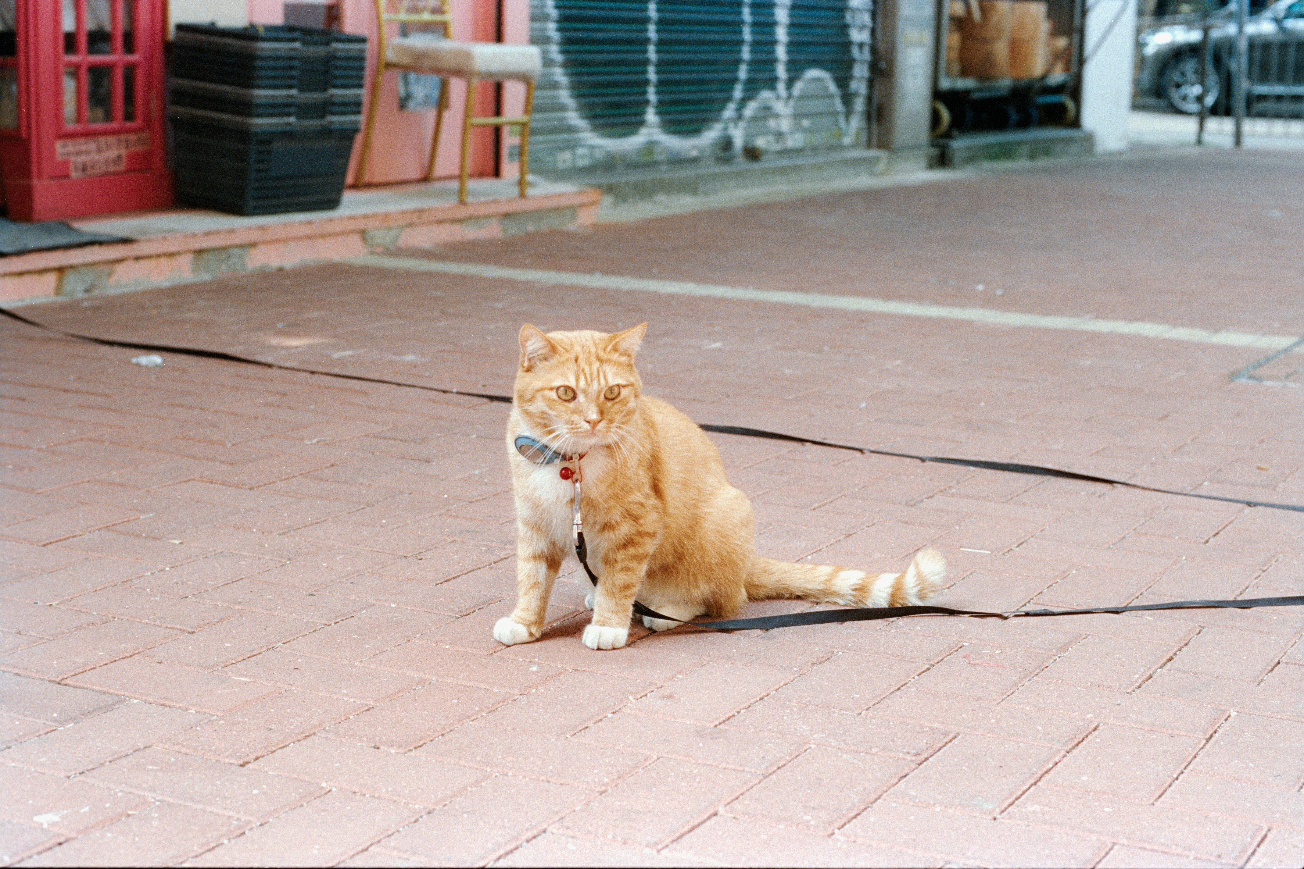 Photo by zhenyao_photo