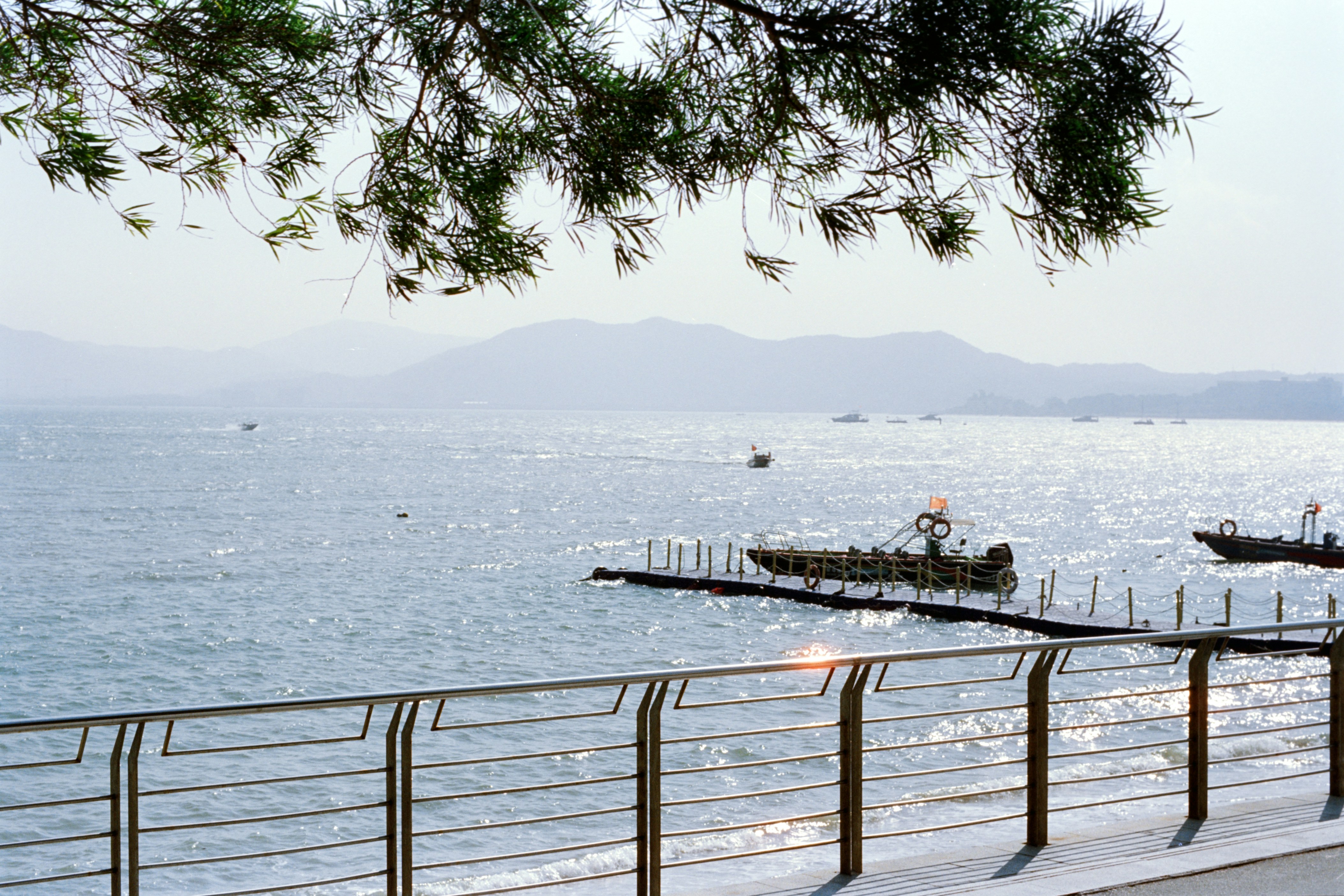 Photo by zhenyao_photo