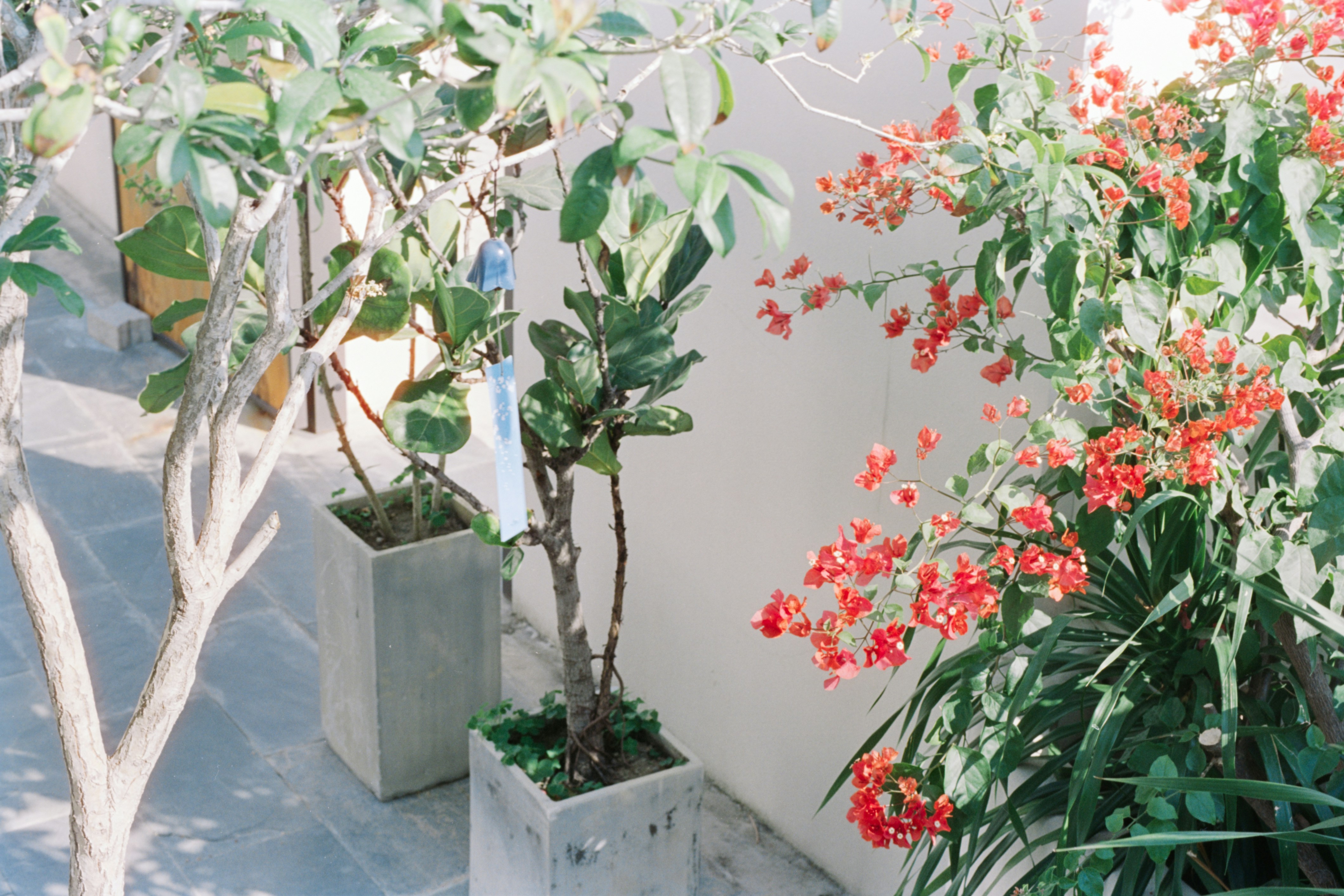 Photo by zhenyao_photo