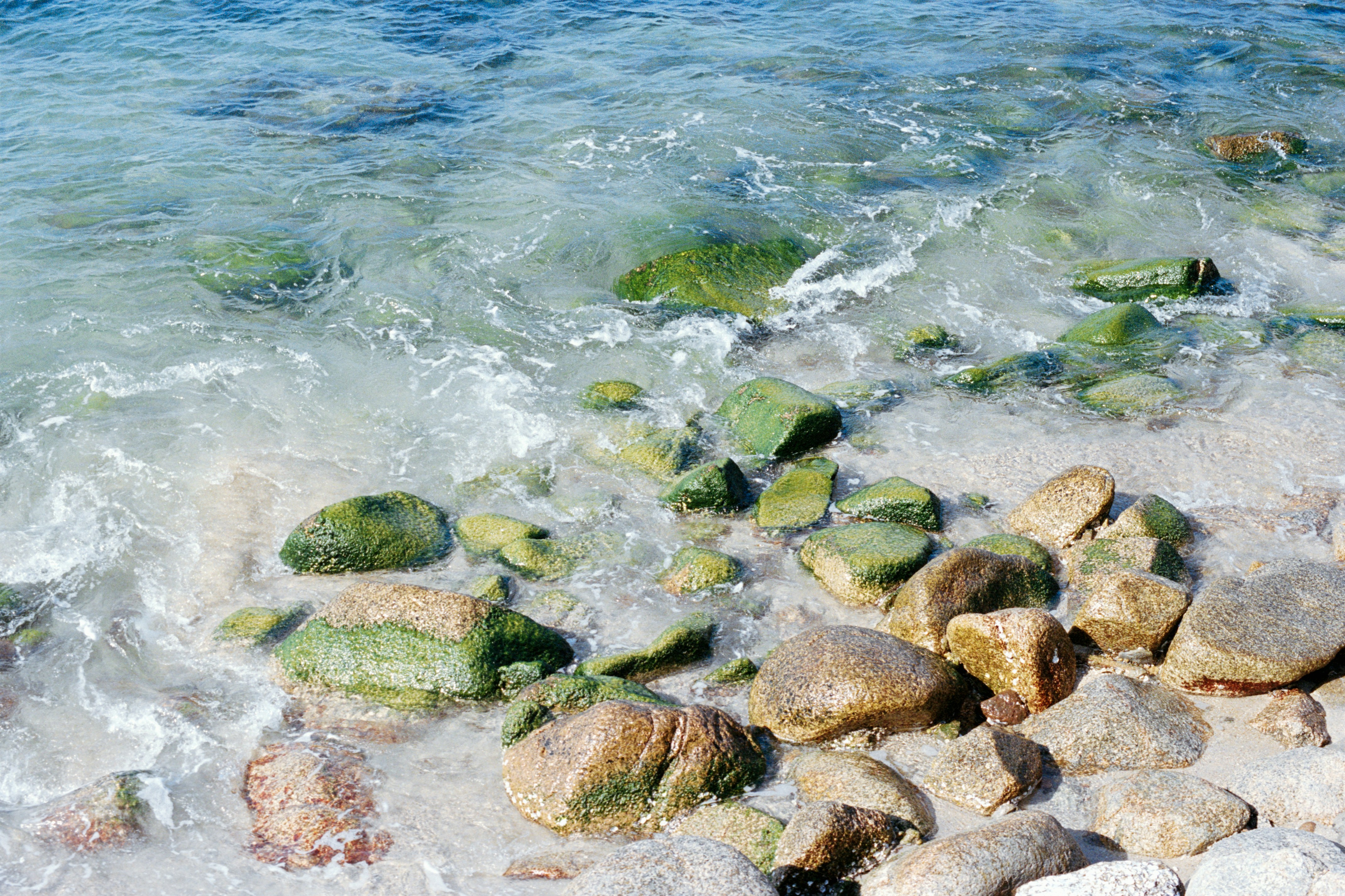 Photo by zhenyao_photo