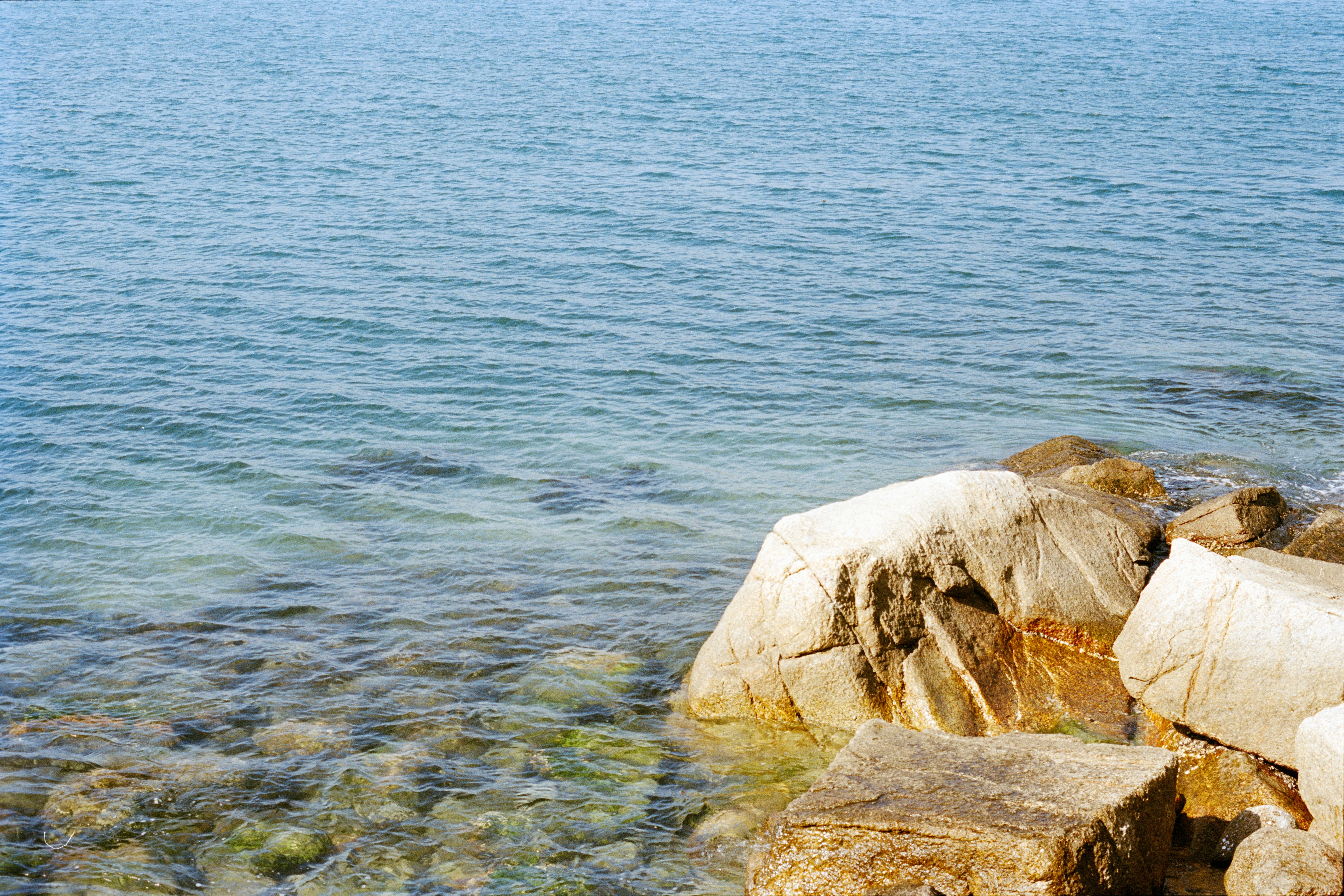 Photo by zhenyao_photo