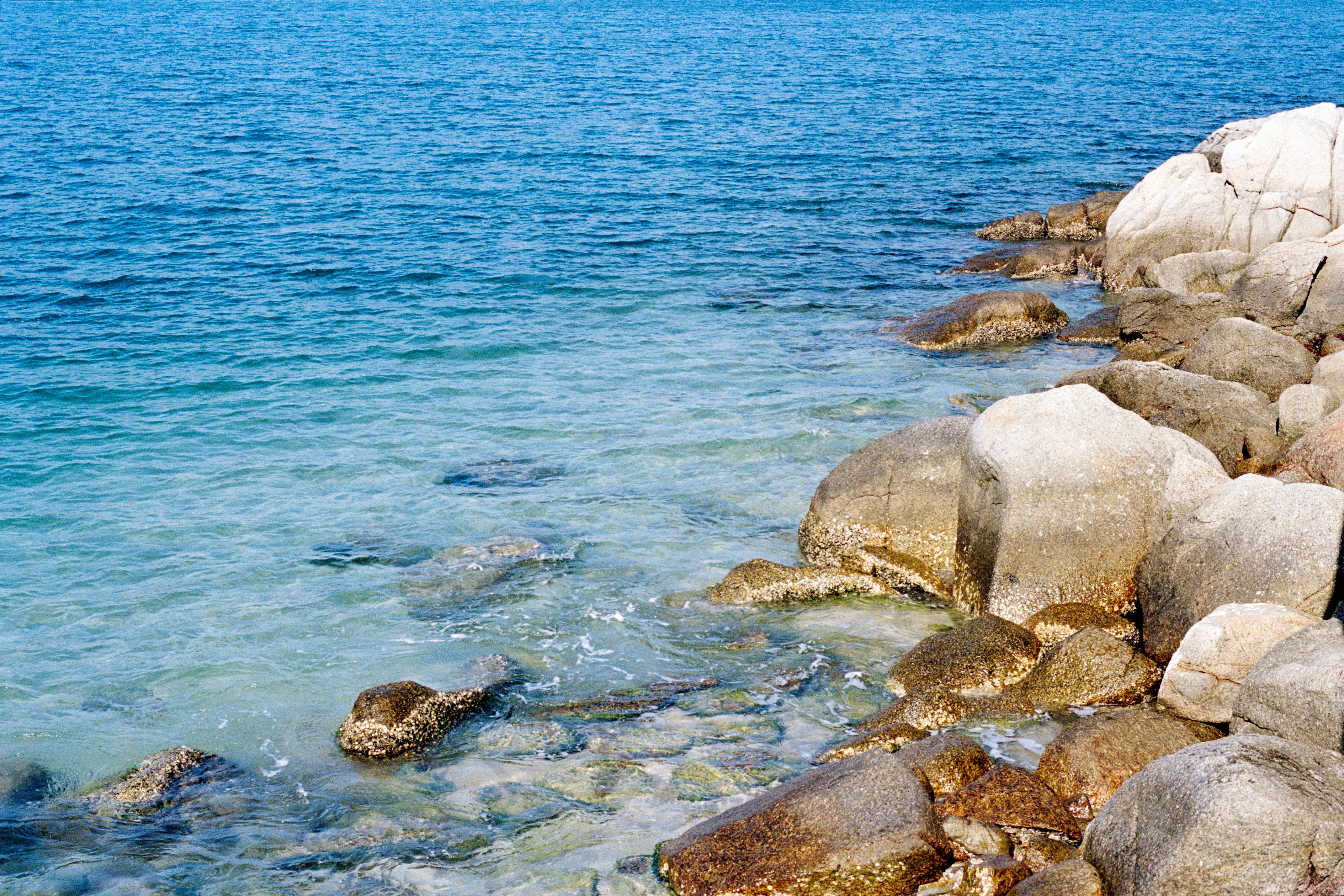 Photo by zhenyao_photo