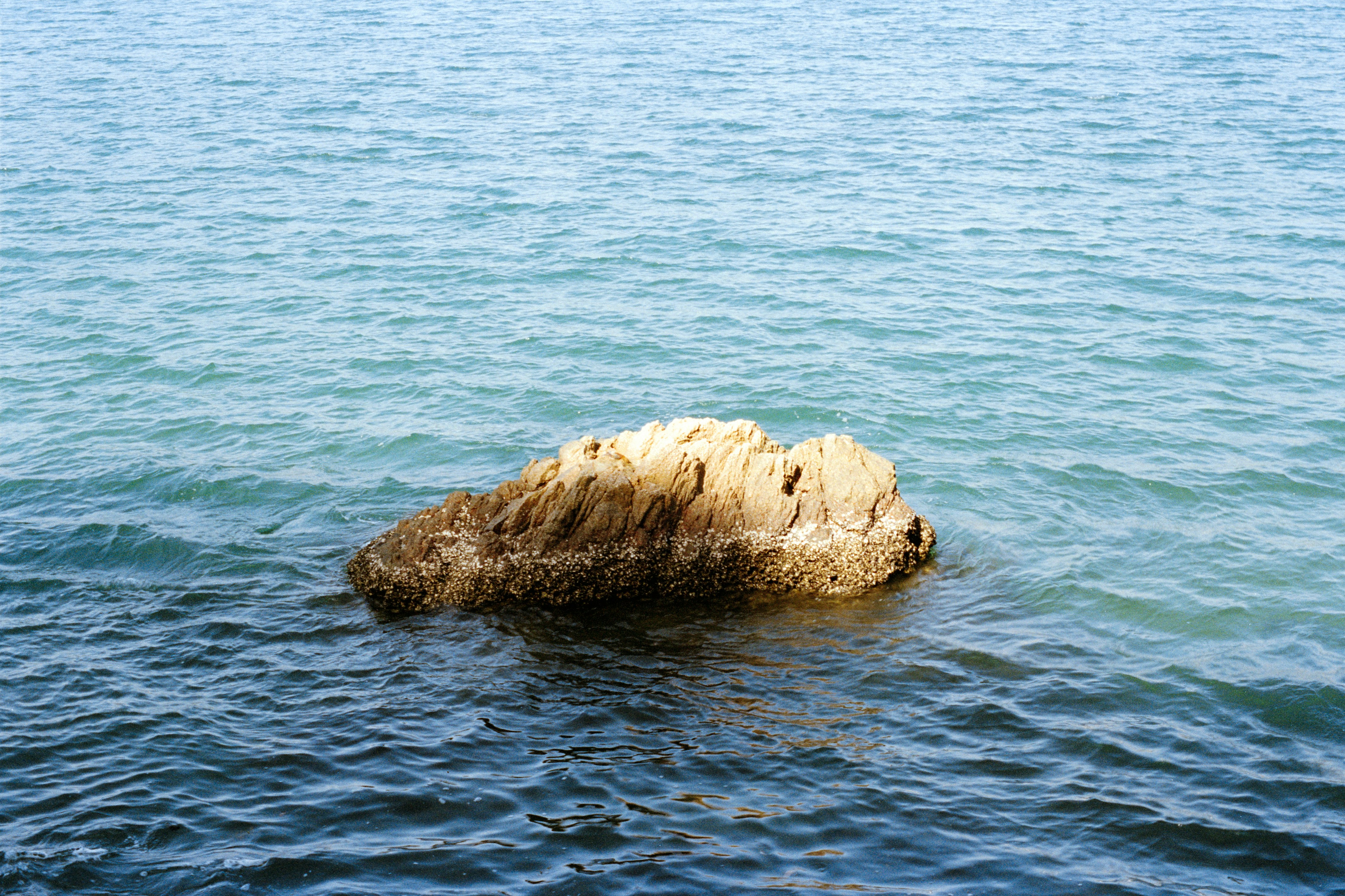 Photo by zhenyao_photo