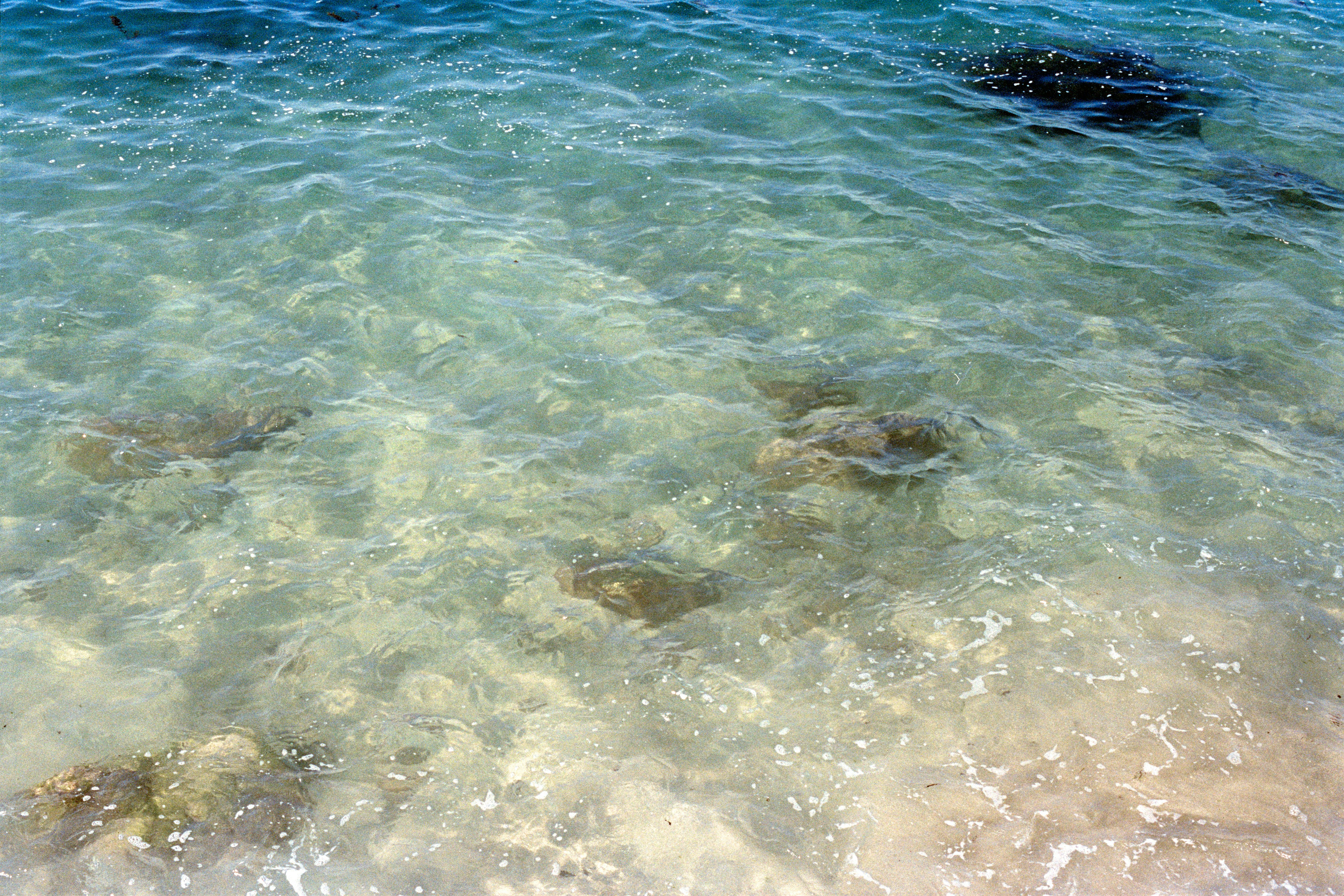 Photo by zhenyao_photo