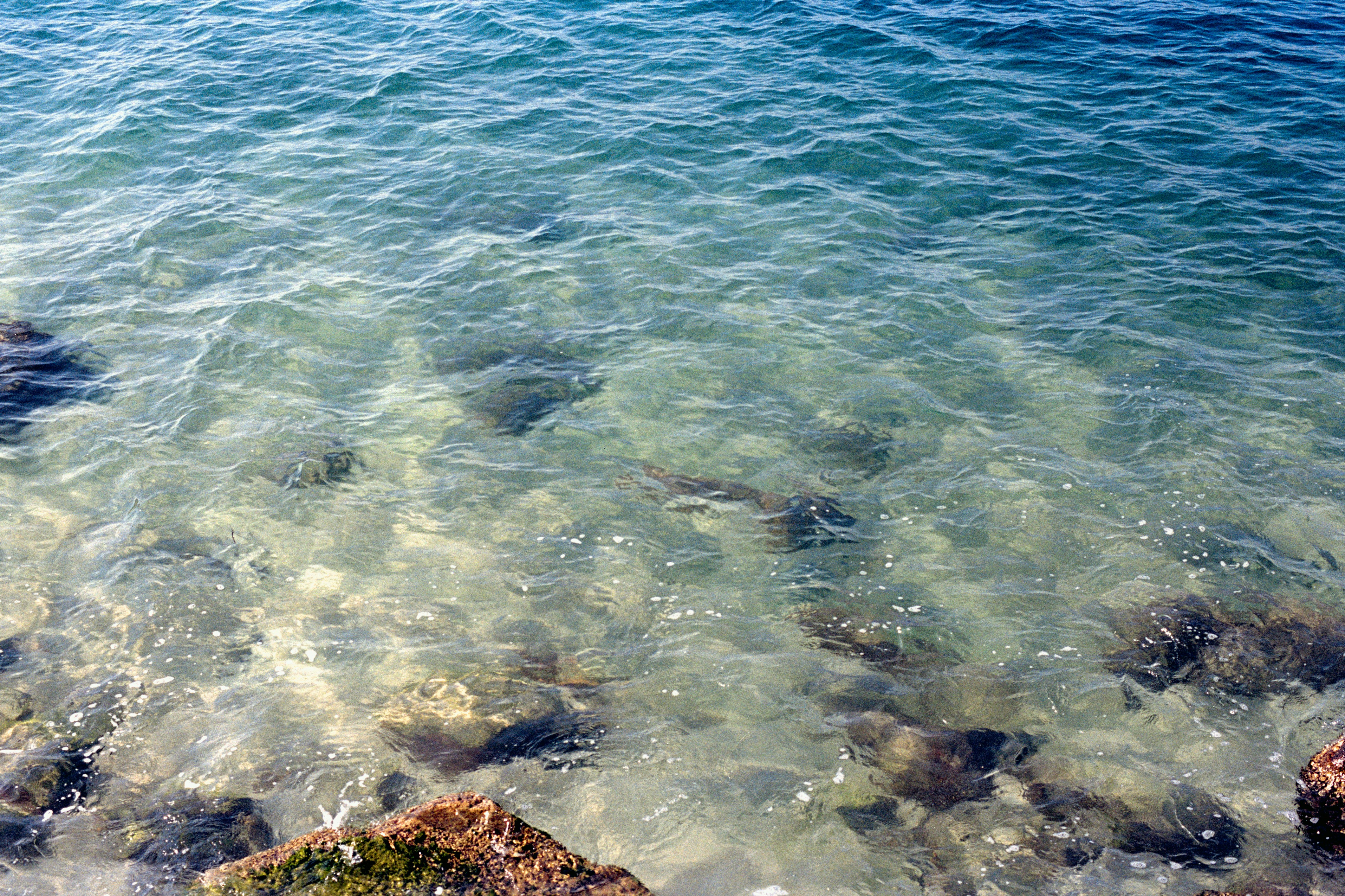 Photo by zhenyao_photo