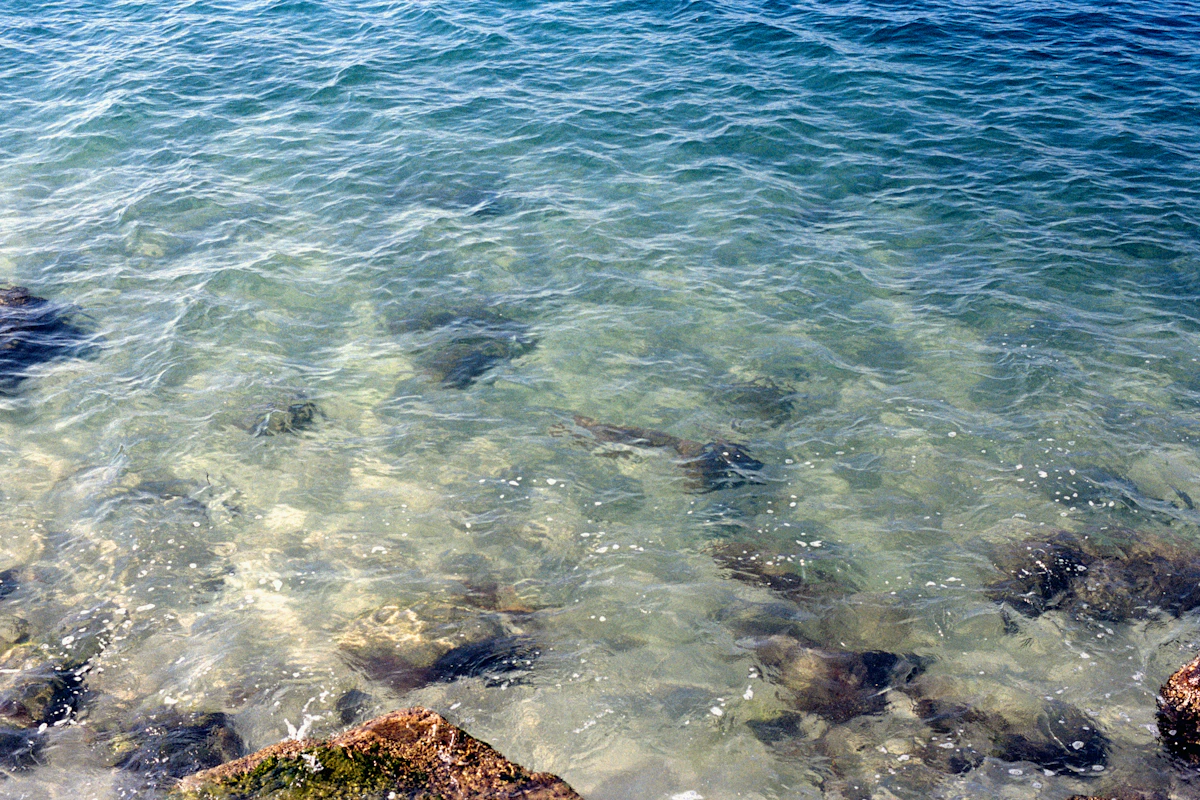 Crystal-clear water over river stones