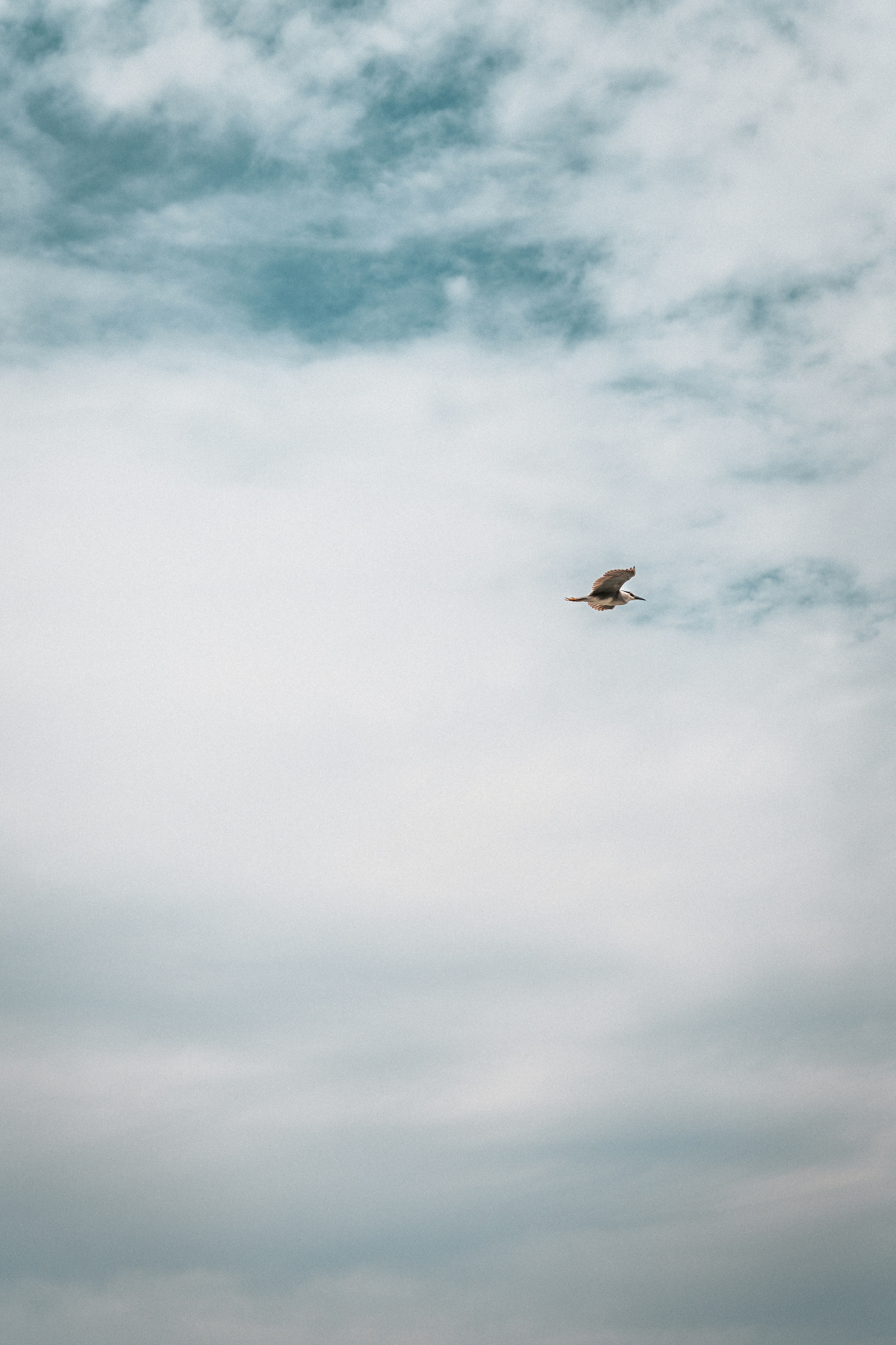 Photo by jackyfish_image