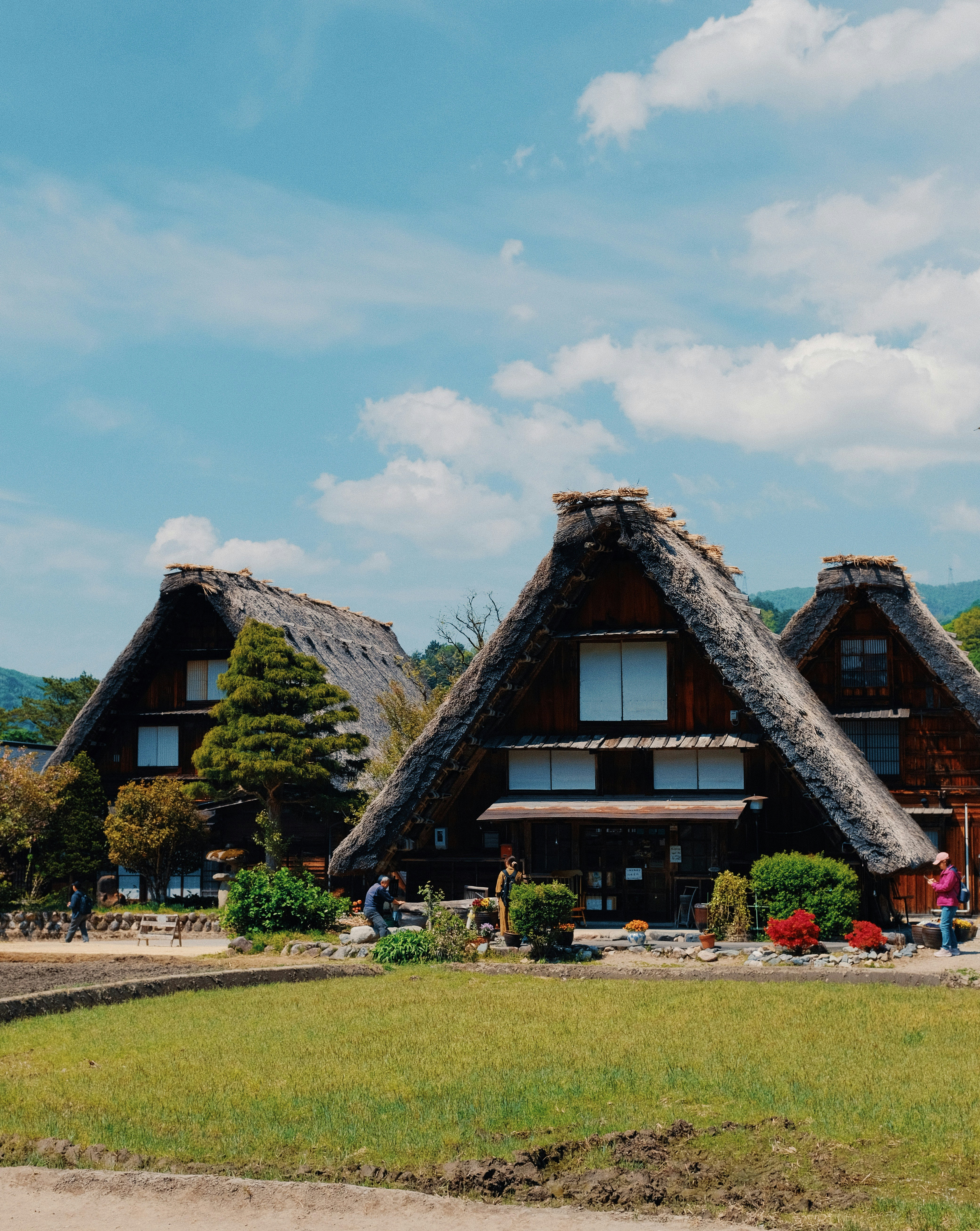 田舎の村の伝統的な茅葺き屋根の家々